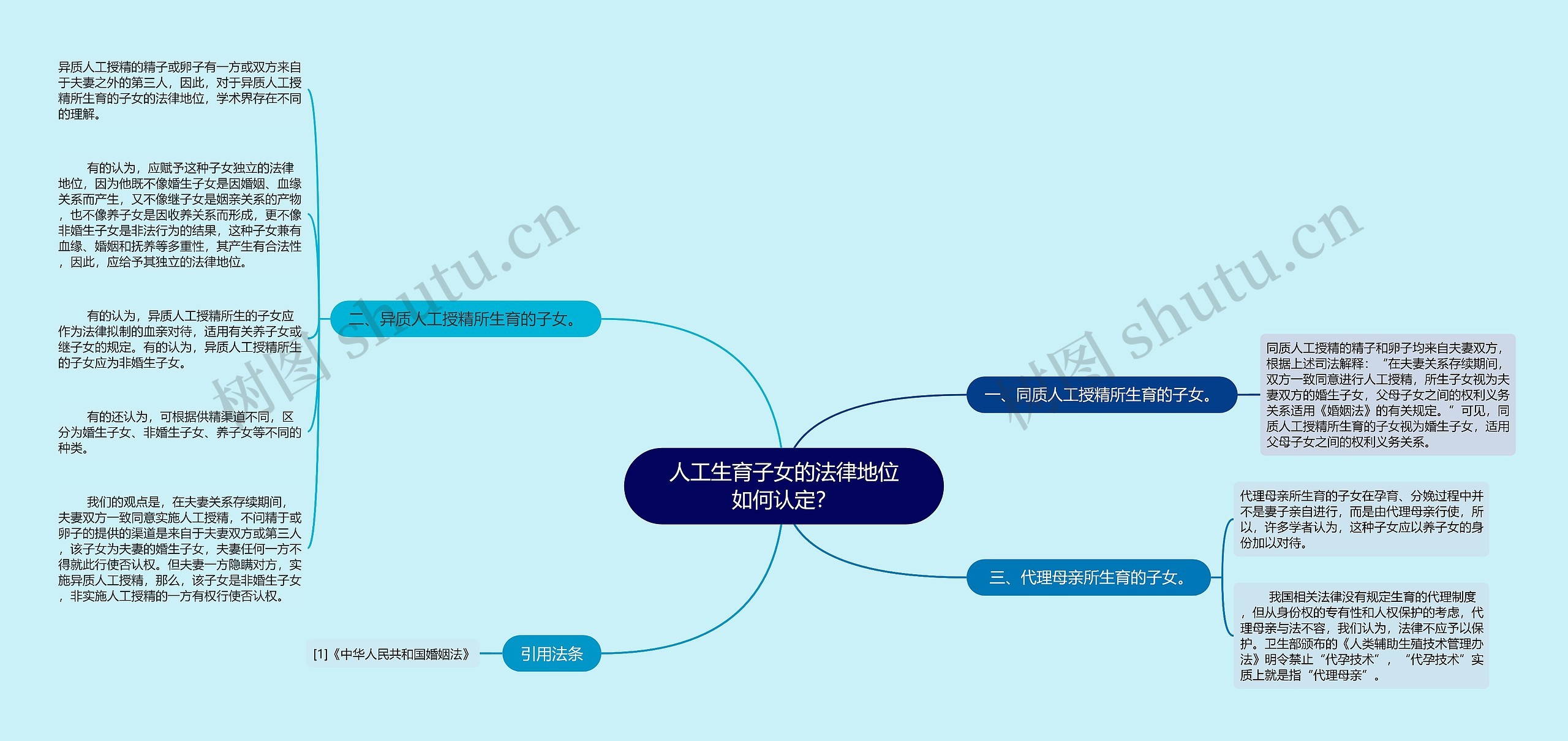 人工生育子女的法律地位如何认定？思维导图