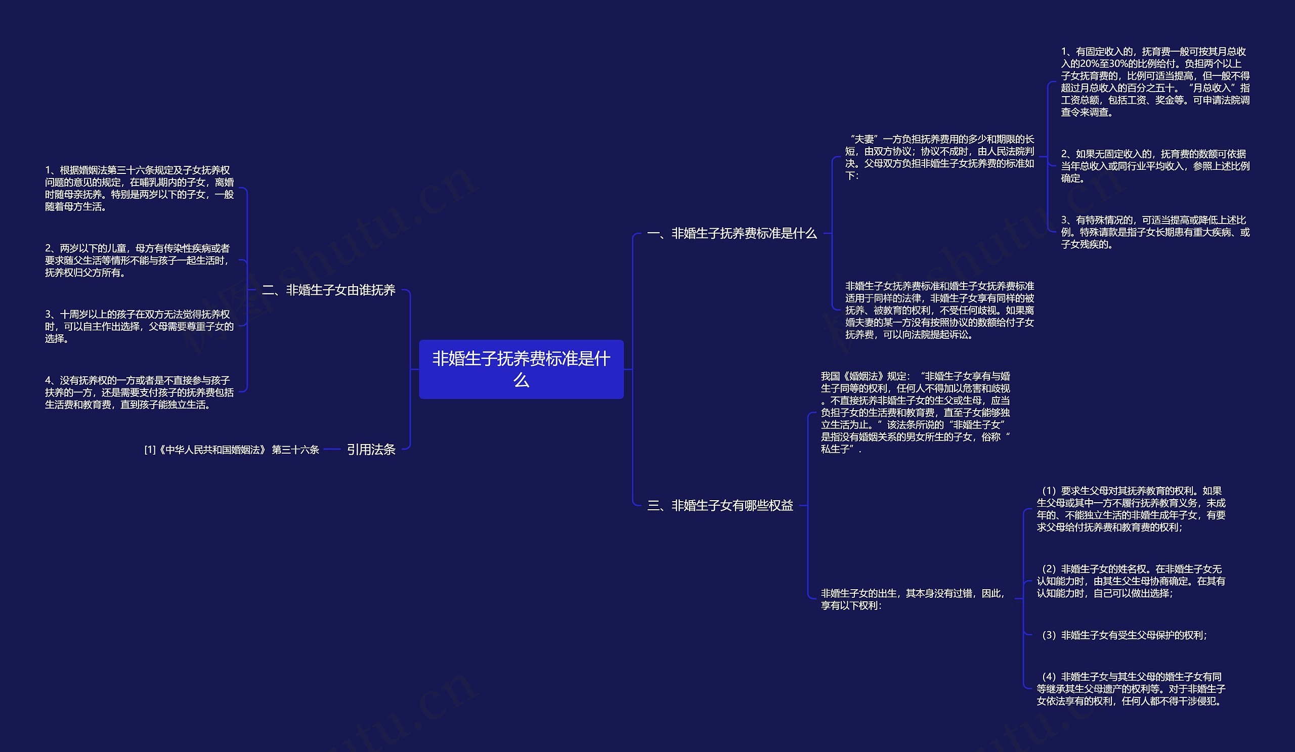 非婚生子抚养费标准是什么思维导图