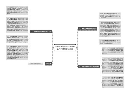 夫妻分居两年自动离婚那么共同债务怎么划分