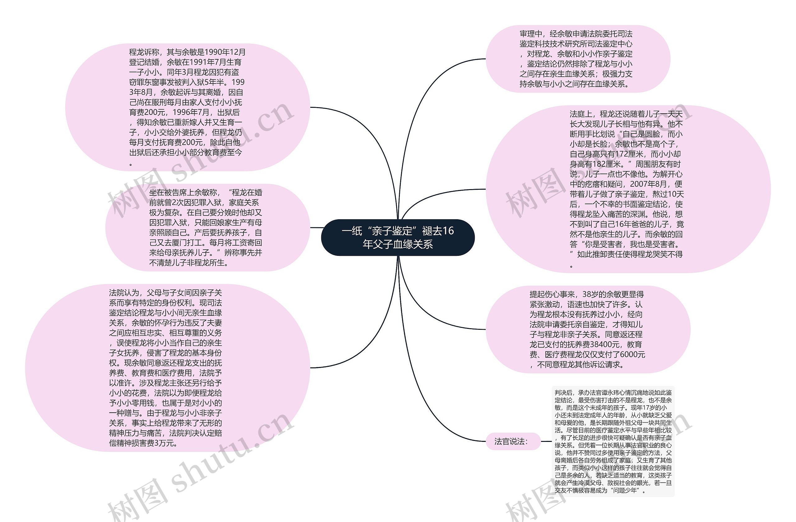 一纸“亲子鉴定”褪去16年父子血缘关系思维导图