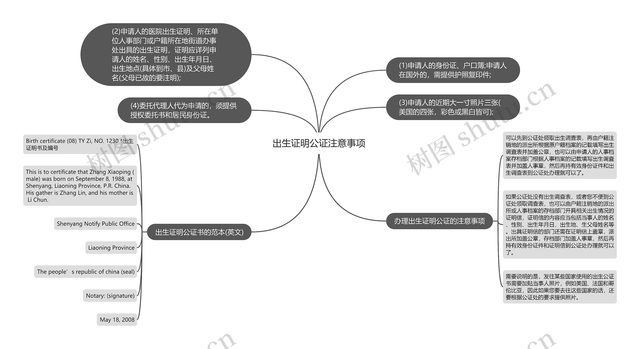 出生证明公证注意事项思维导图