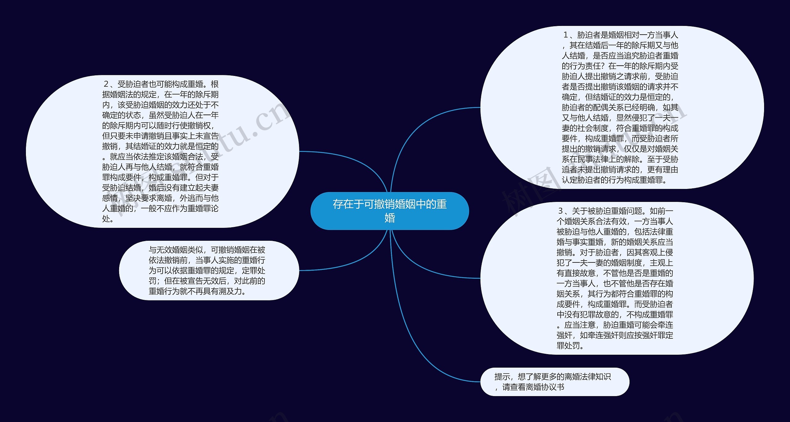 存在于可撤销婚姻中的重婚思维导图