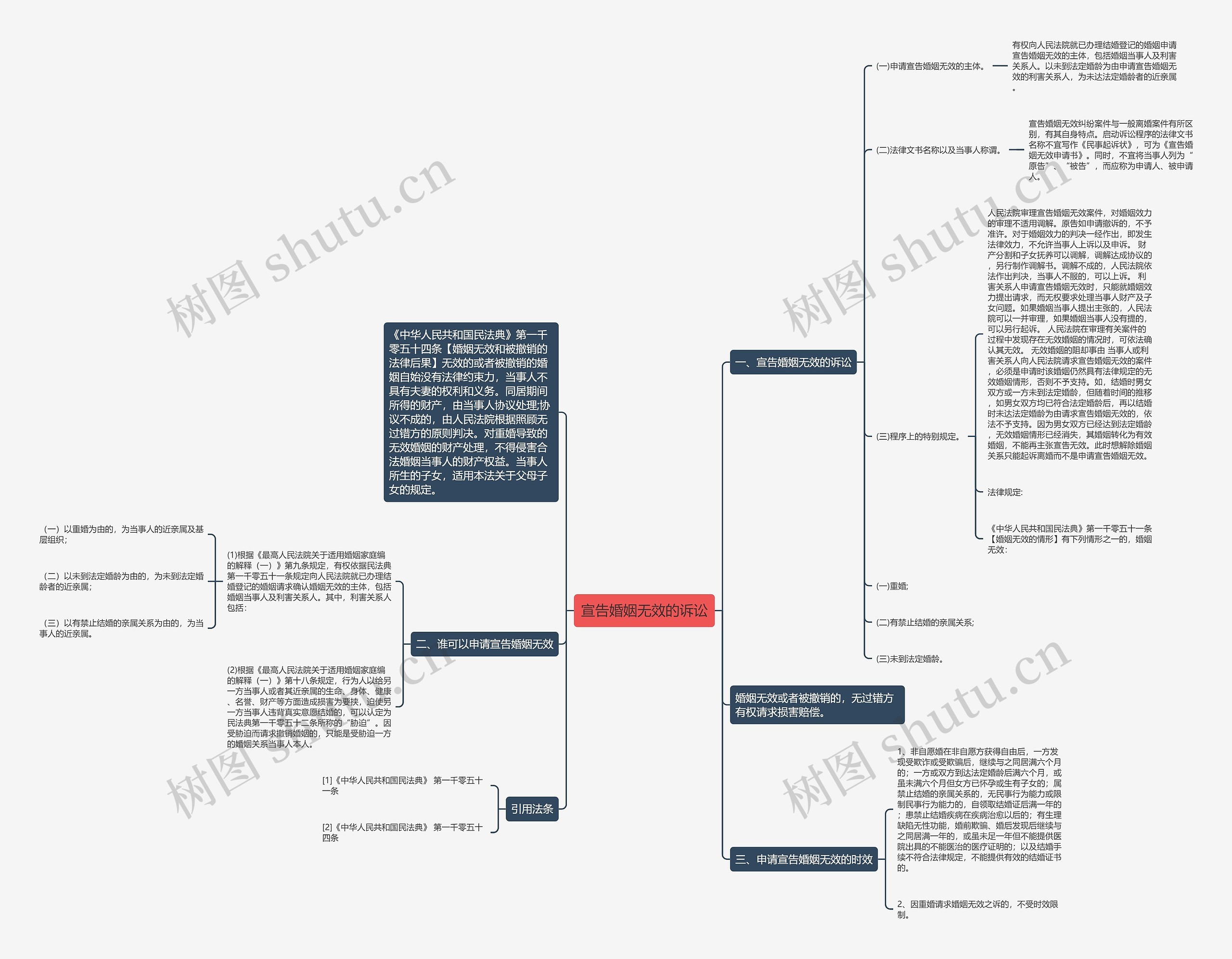 宣告婚姻无效的诉讼思维导图