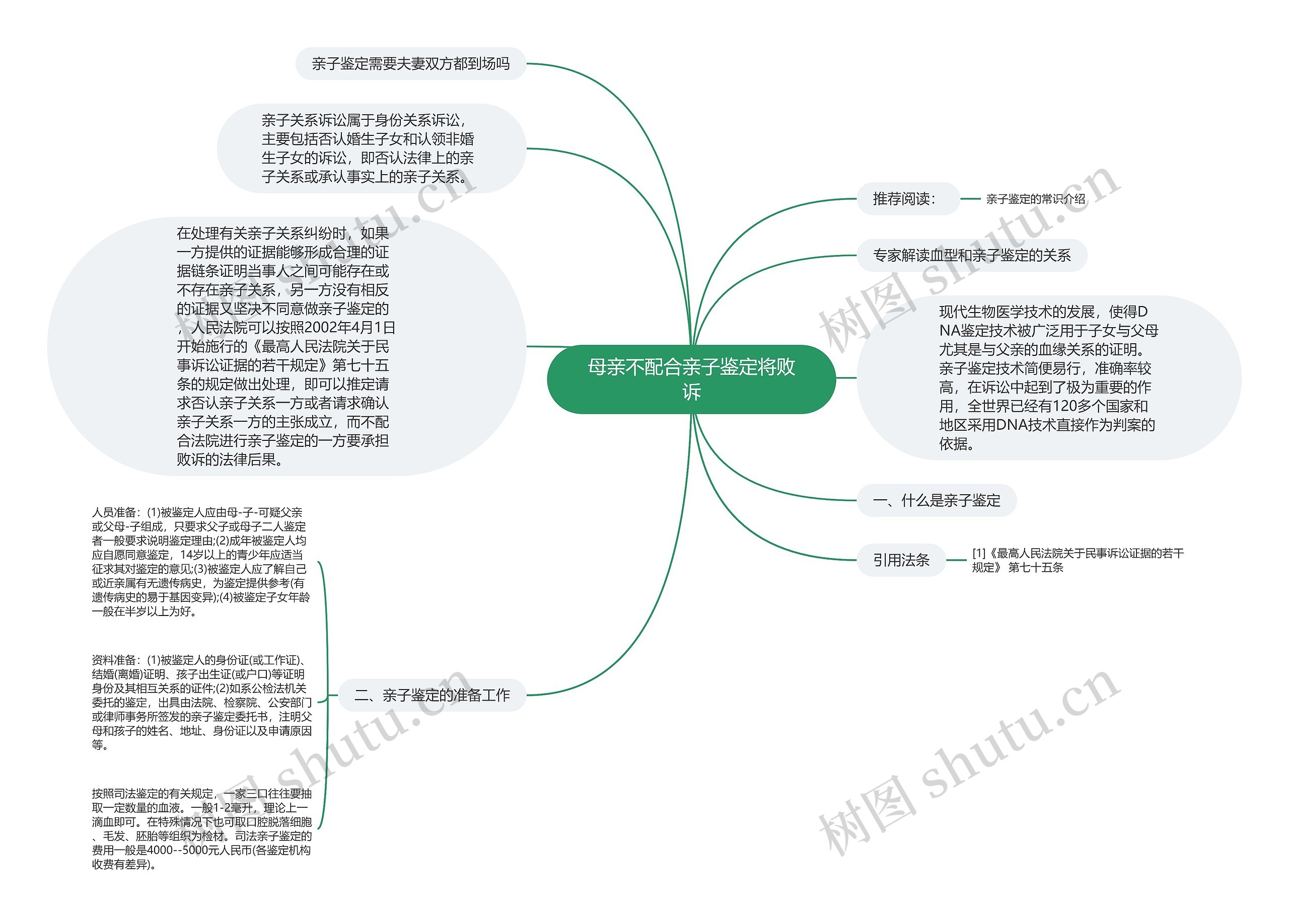 母亲不配合亲子鉴定将败诉思维导图