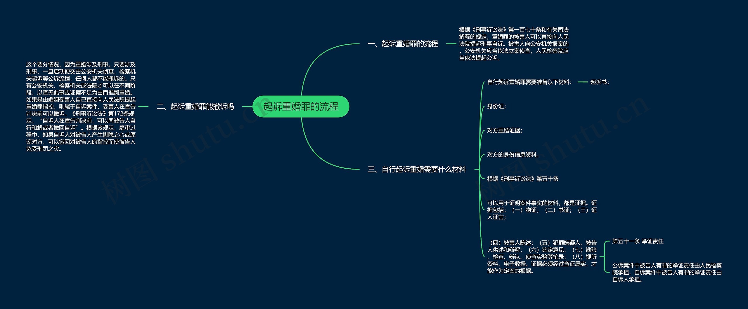 起诉重婚罪的流程思维导图