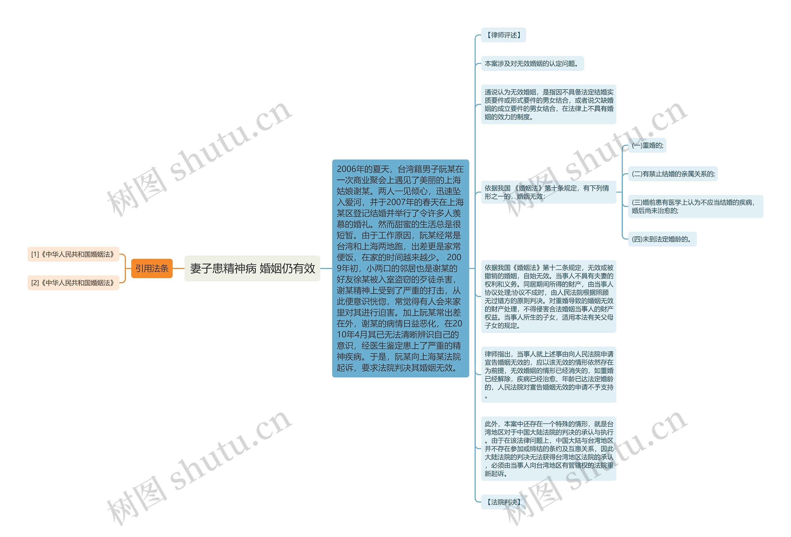 妻子患精神病 婚姻仍有效思维导图