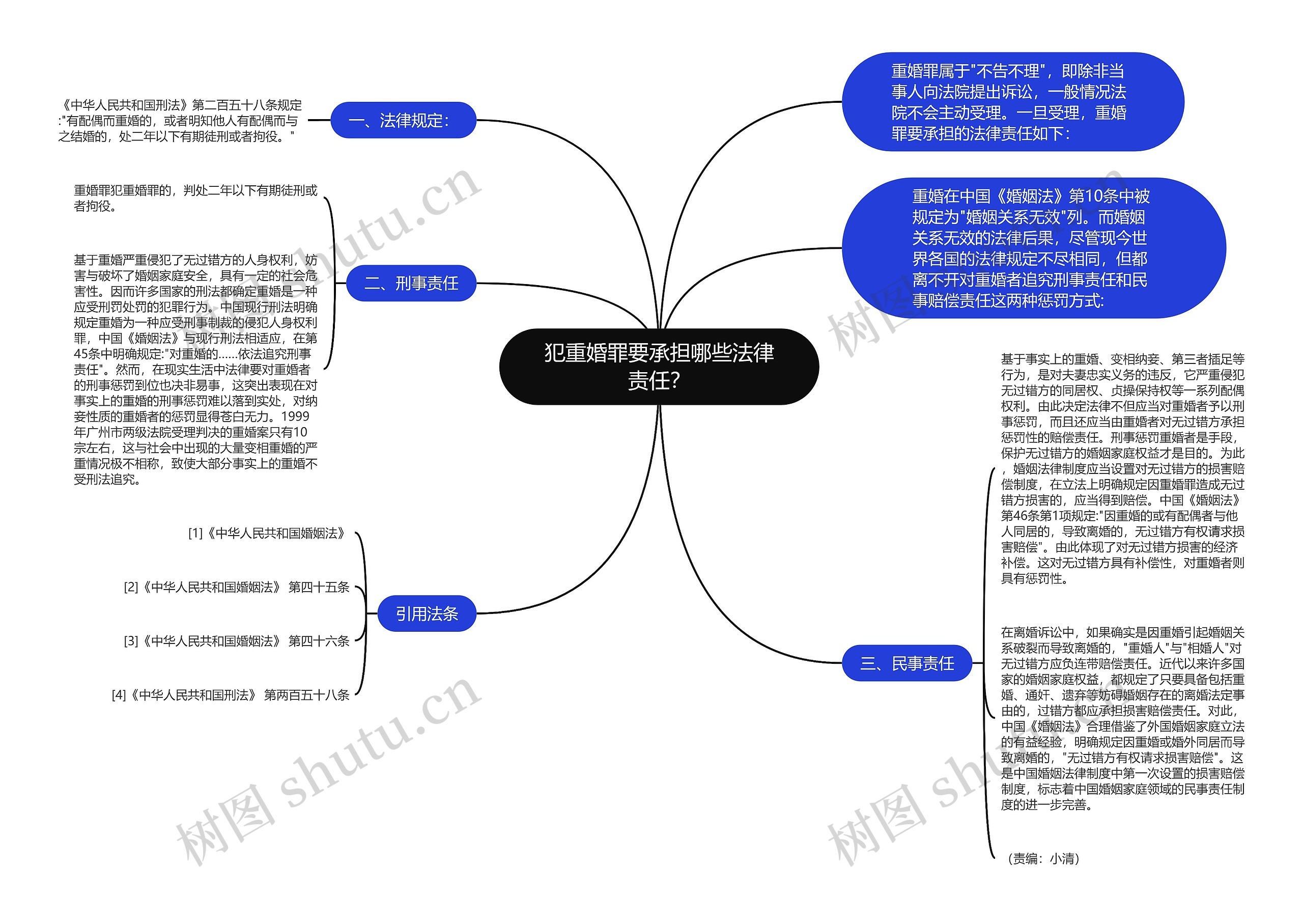 犯重婚罪要承担哪些法律责任？思维导图