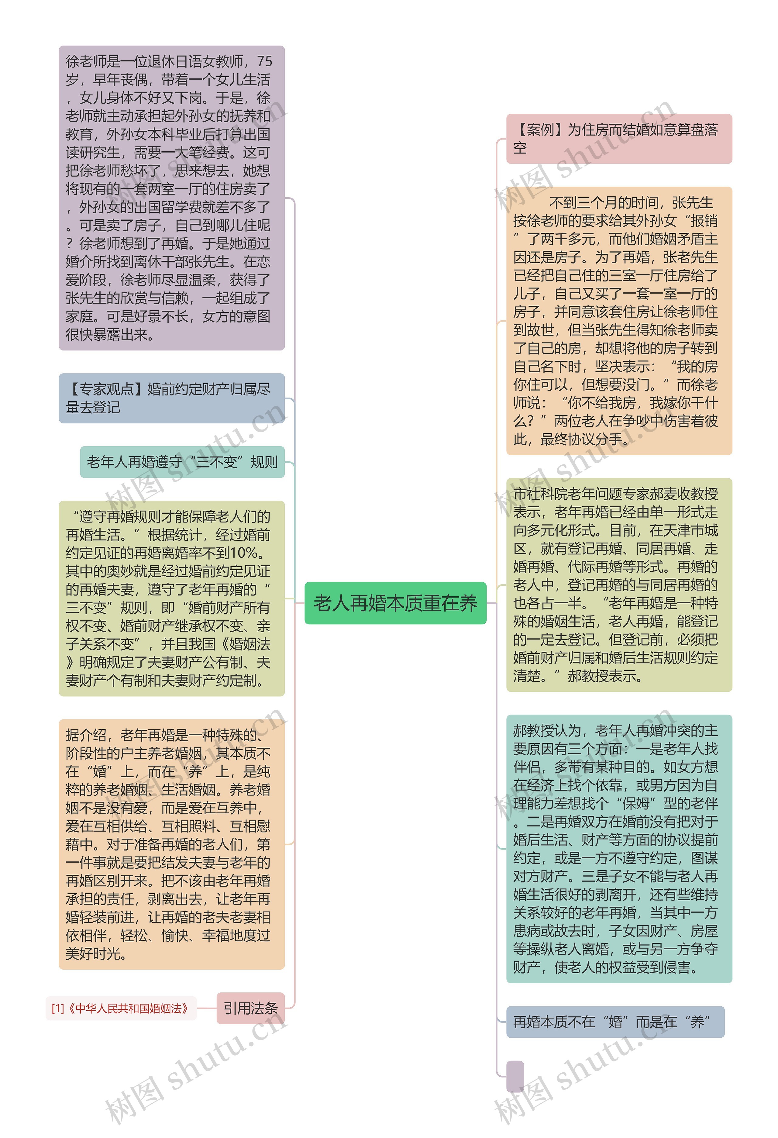 老人再婚本质重在养思维导图