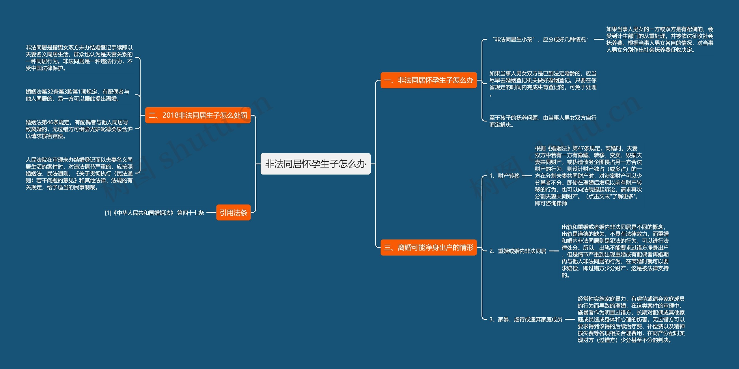 非法同居怀孕生子怎么办思维导图