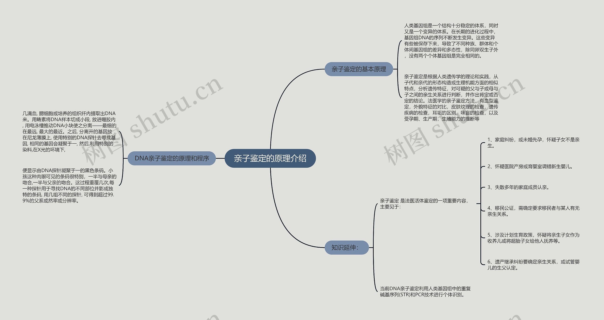 亲子鉴定的原理介绍思维导图