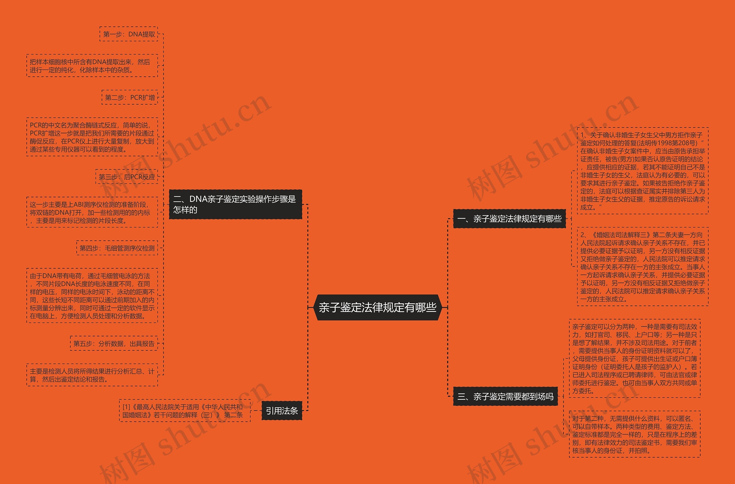 亲子鉴定法律规定有哪些思维导图