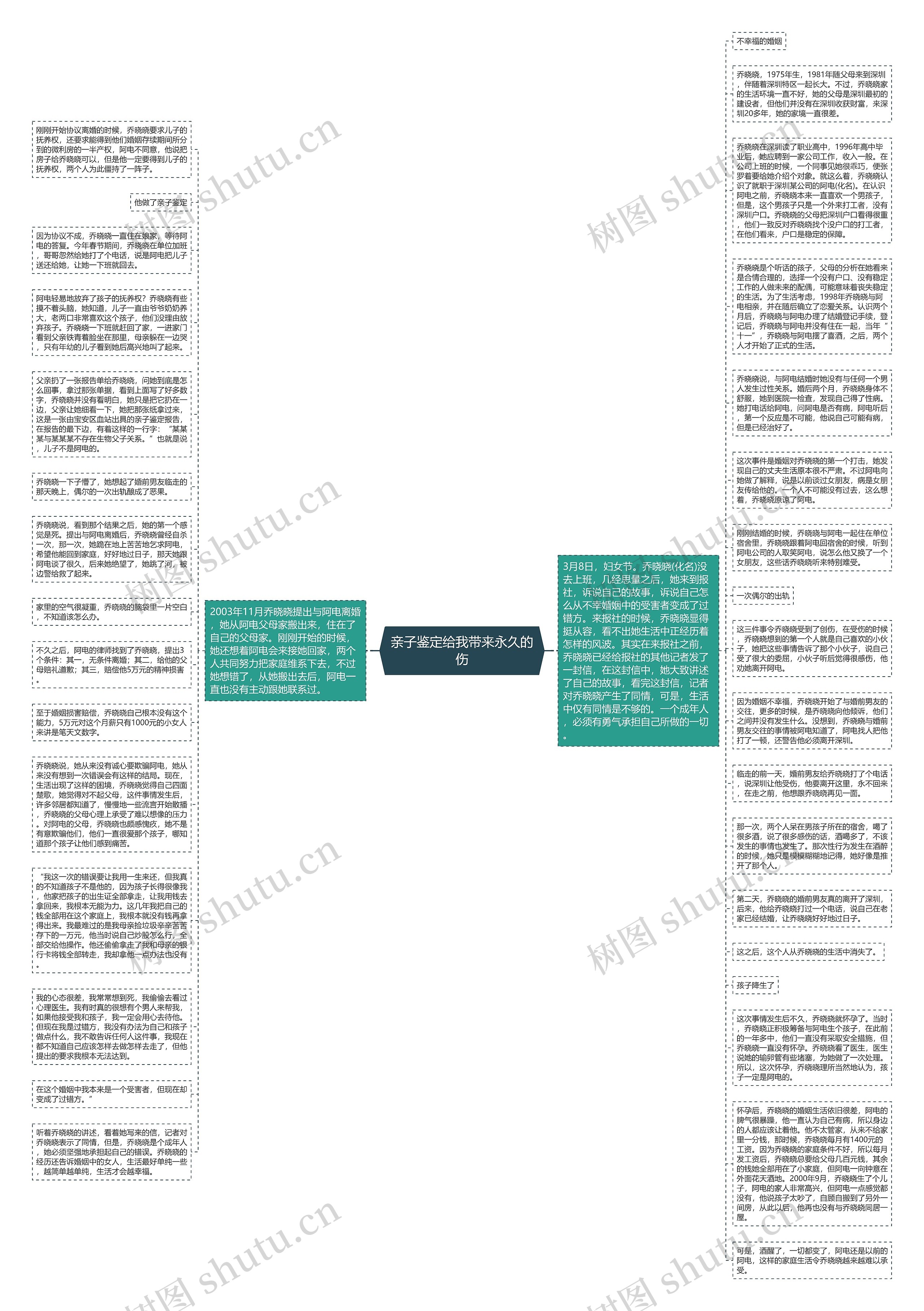 亲子鉴定给我带来永久的伤思维导图