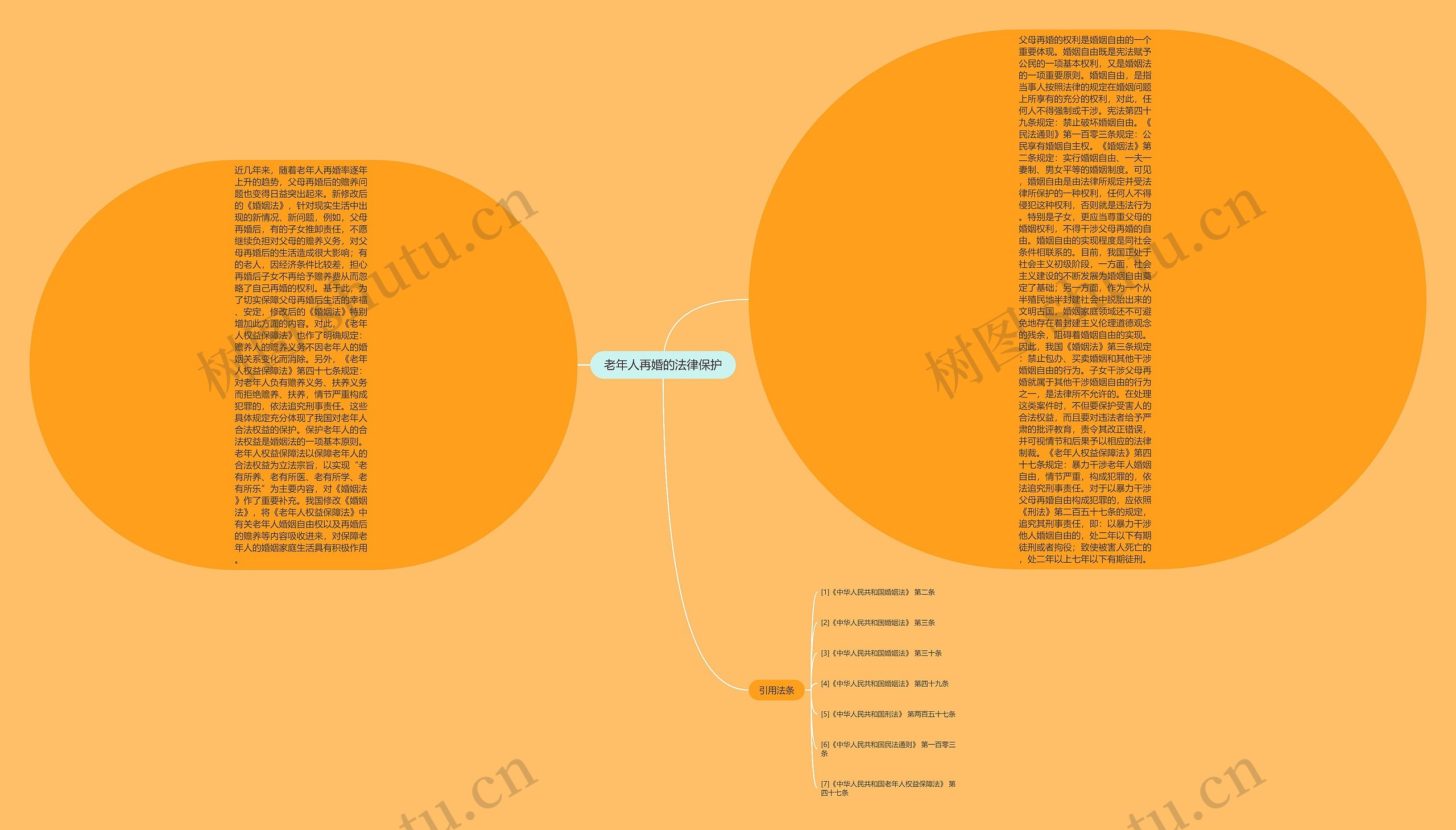 老年人再婚的法律保护思维导图