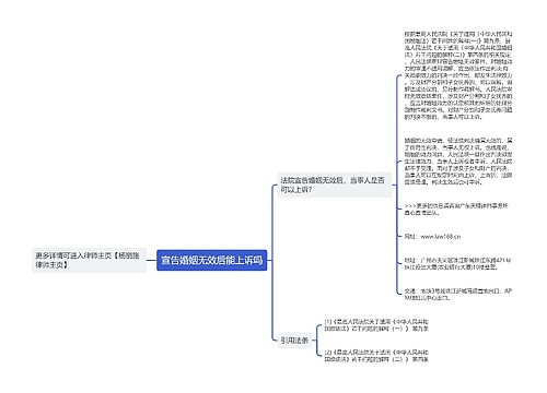 宣告婚姻无效后能上诉吗