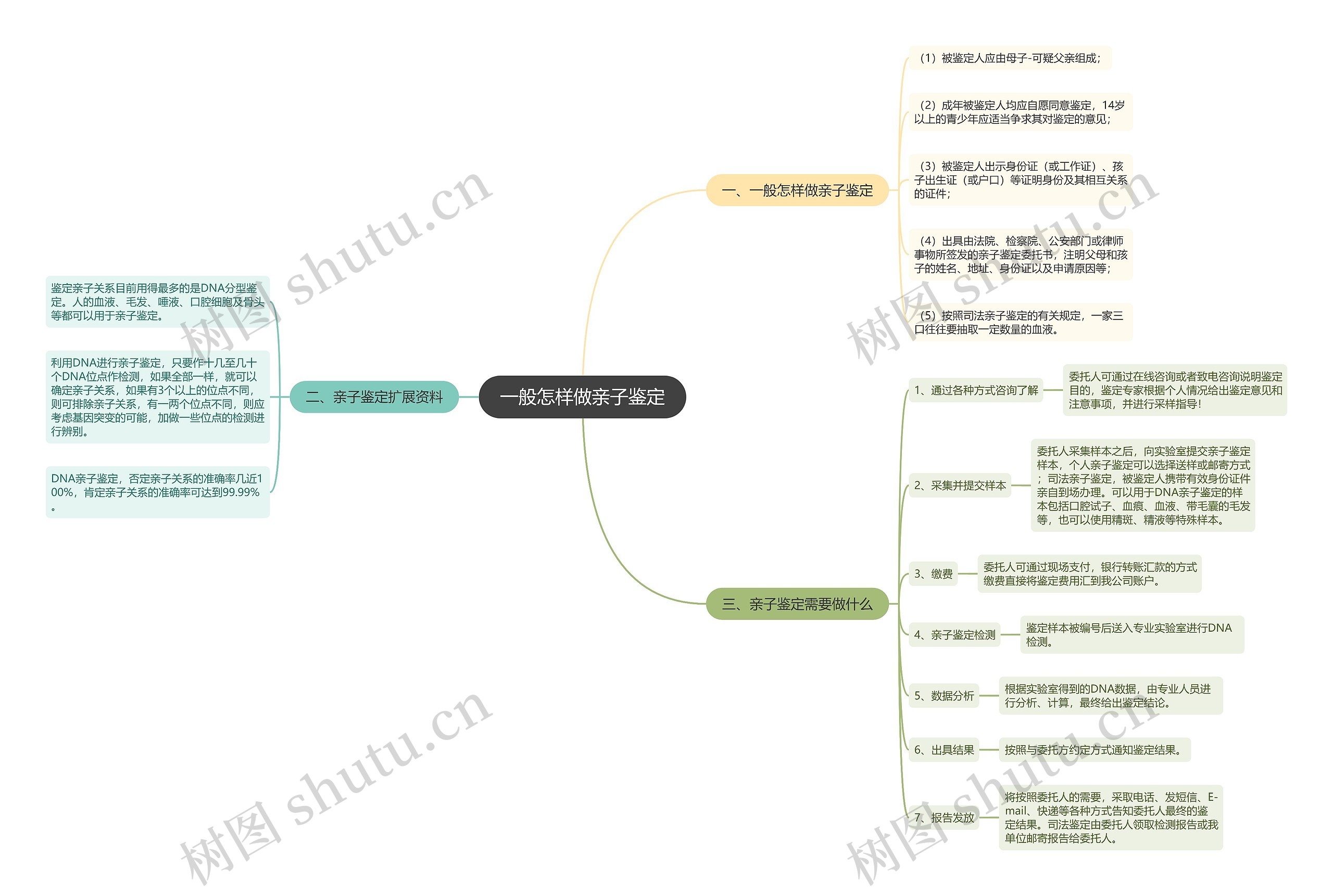 一般怎样做亲子鉴定思维导图