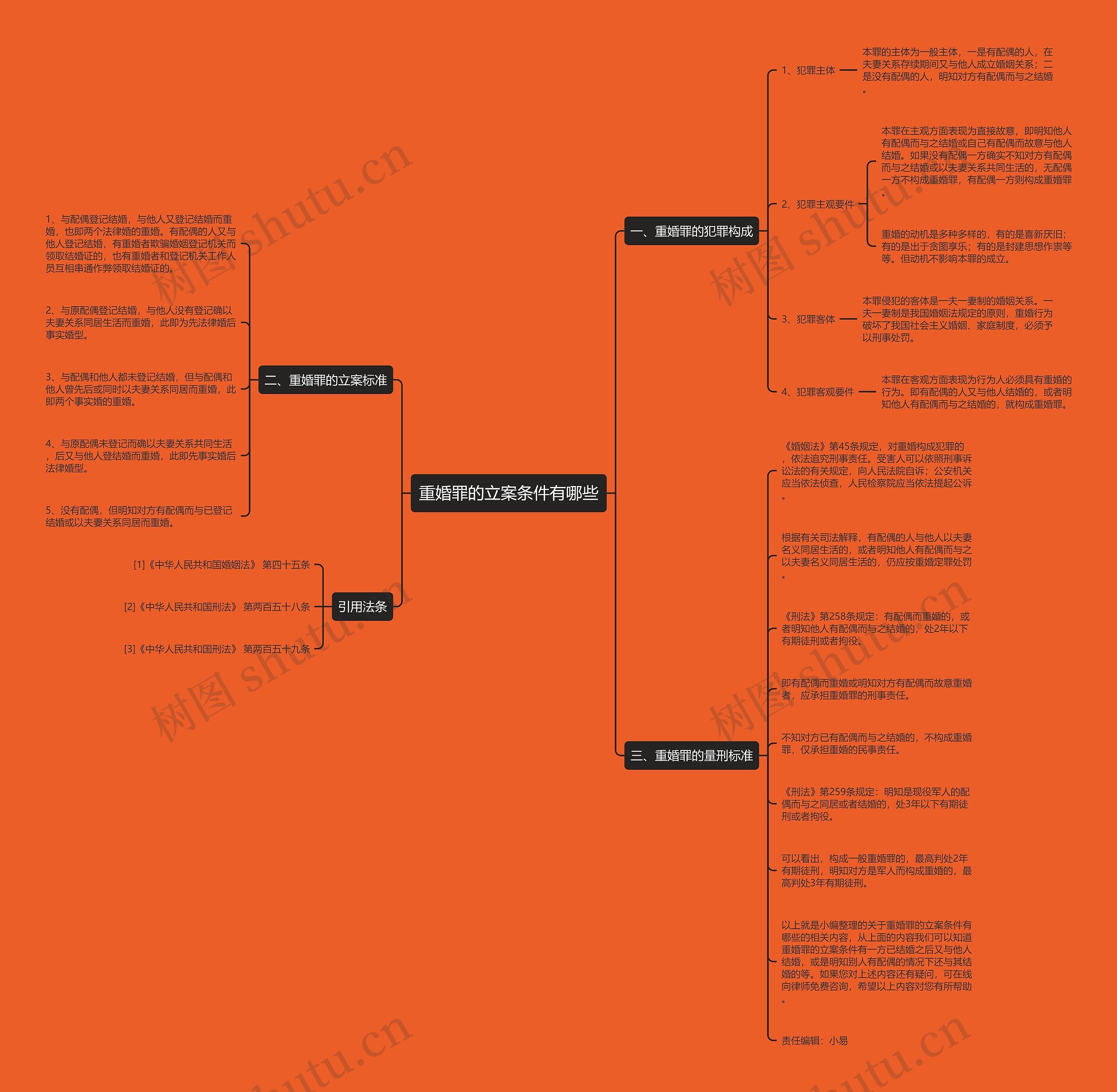 重婚罪的立案条件有哪些思维导图