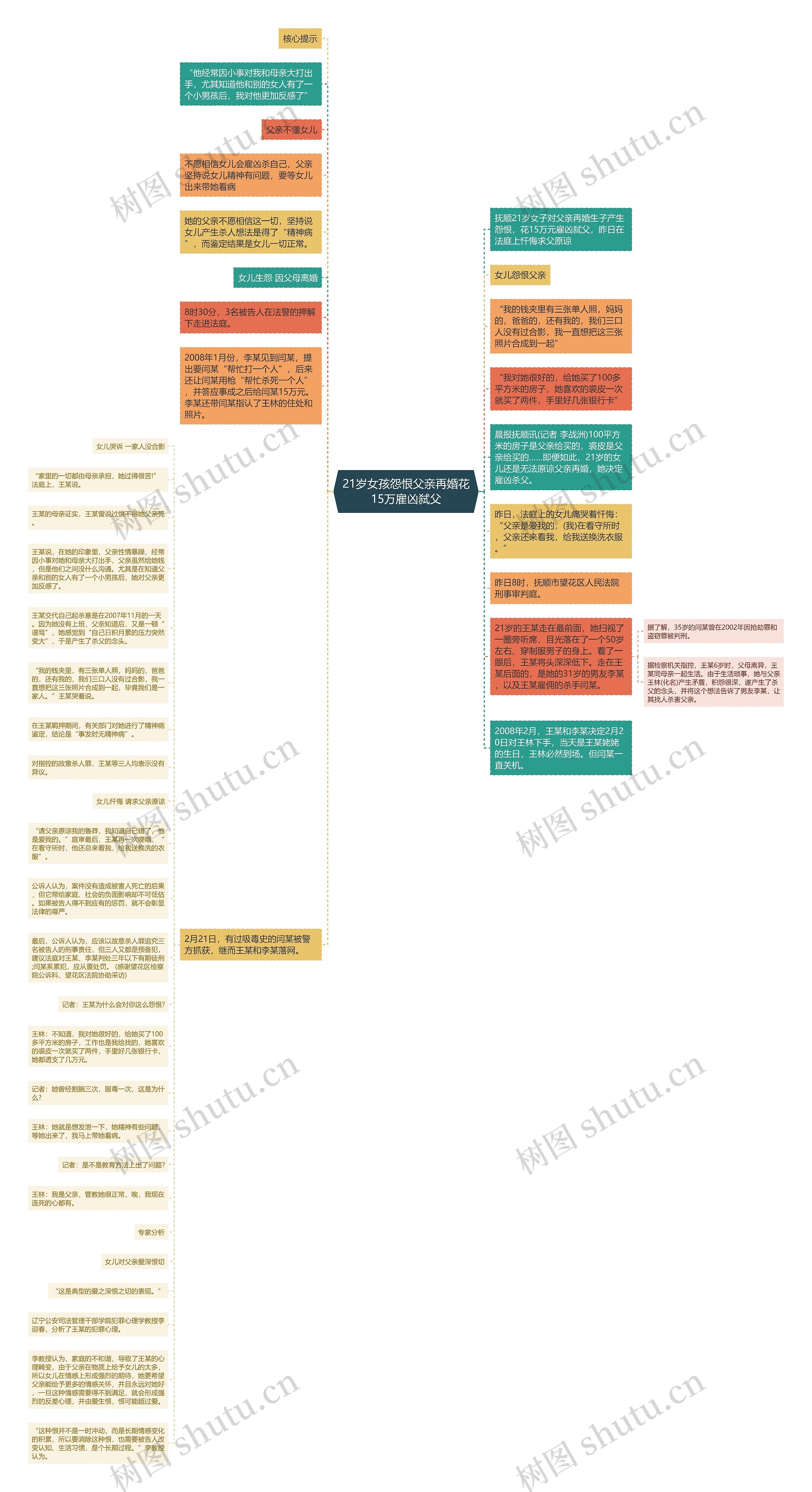 21岁女孩怨恨父亲再婚花15万雇凶弑父思维导图