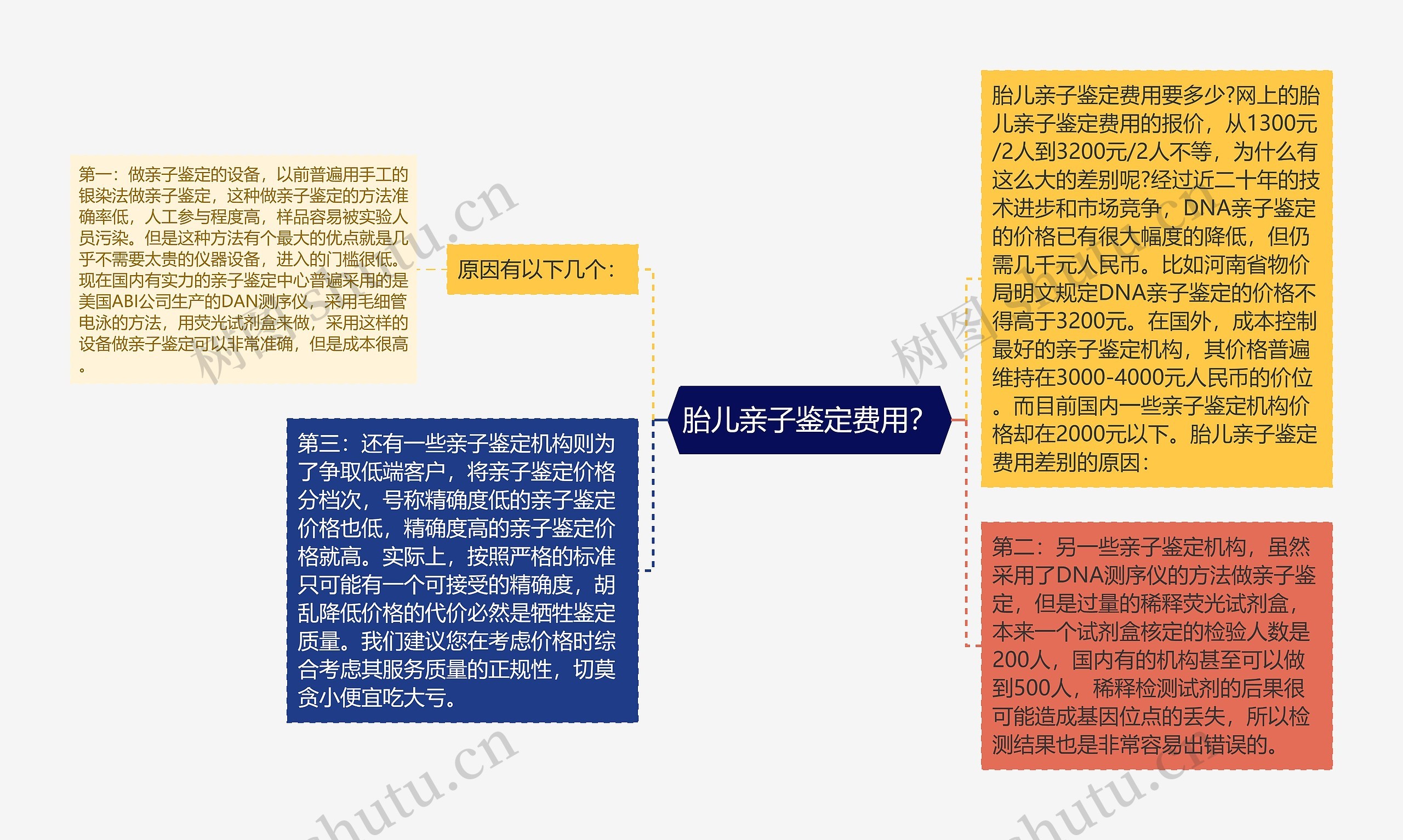 胎儿亲子鉴定费用？思维导图