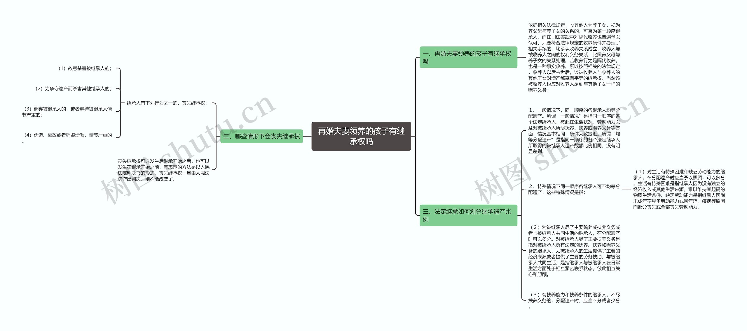 再婚夫妻领养的孩子有继承权吗 再婚夫妻领养的孩子有继承权吗