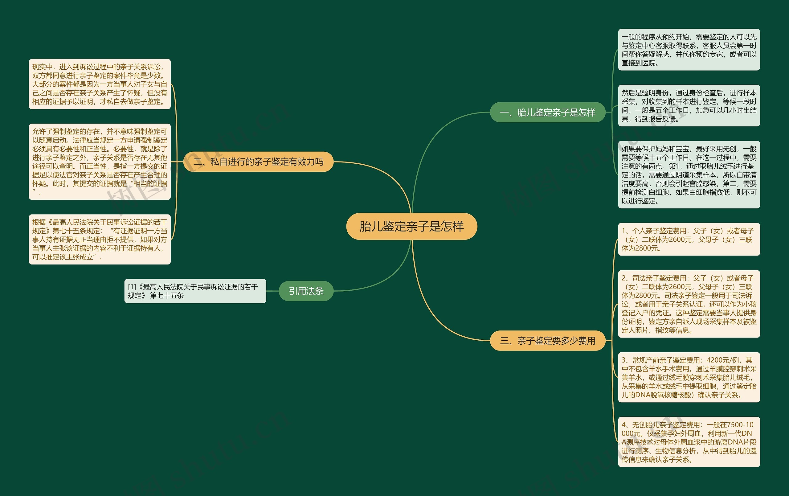 胎儿鉴定亲子是怎样思维导图