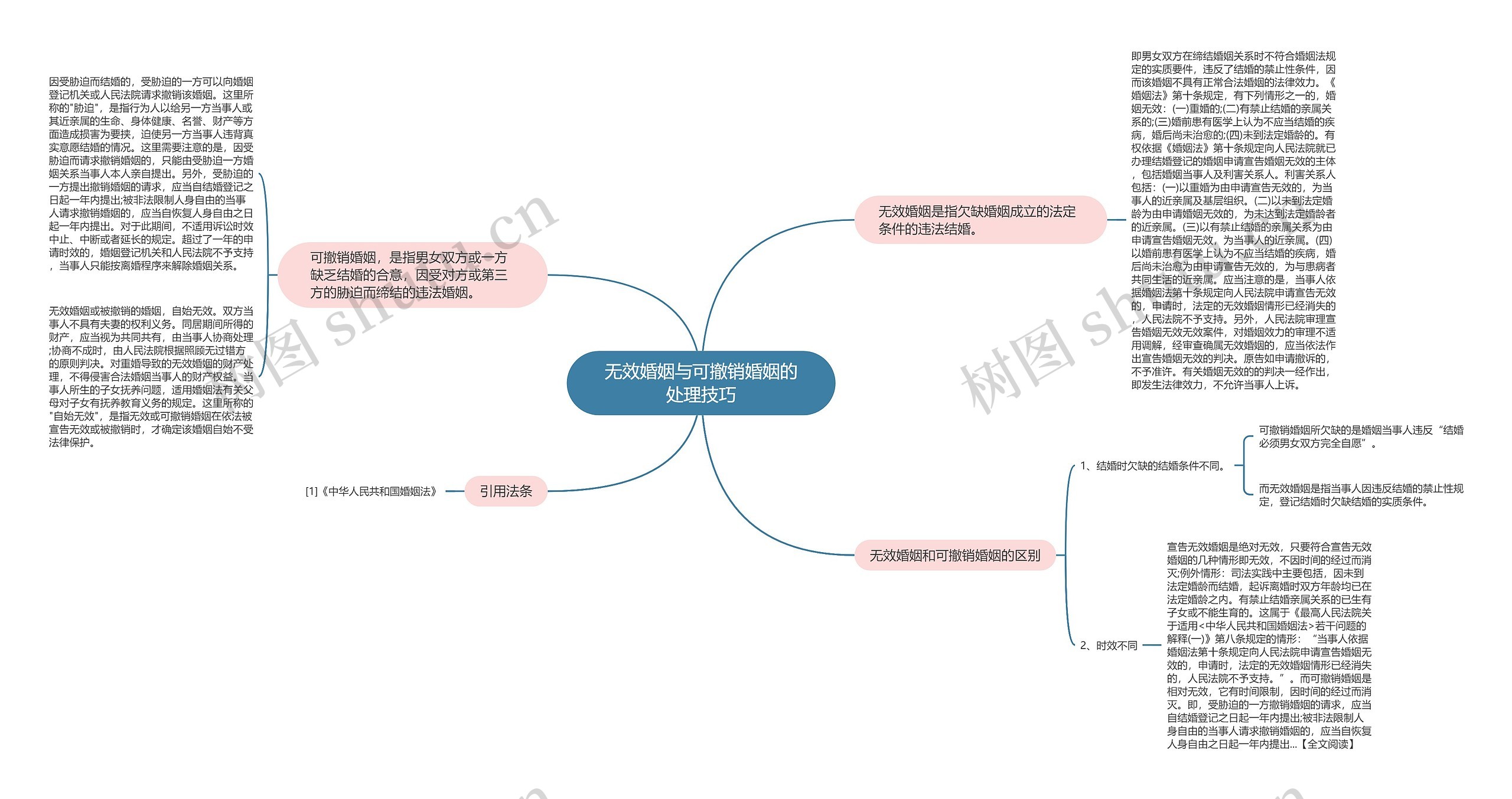 无效婚姻与可撤销婚姻的处理技巧思维导图