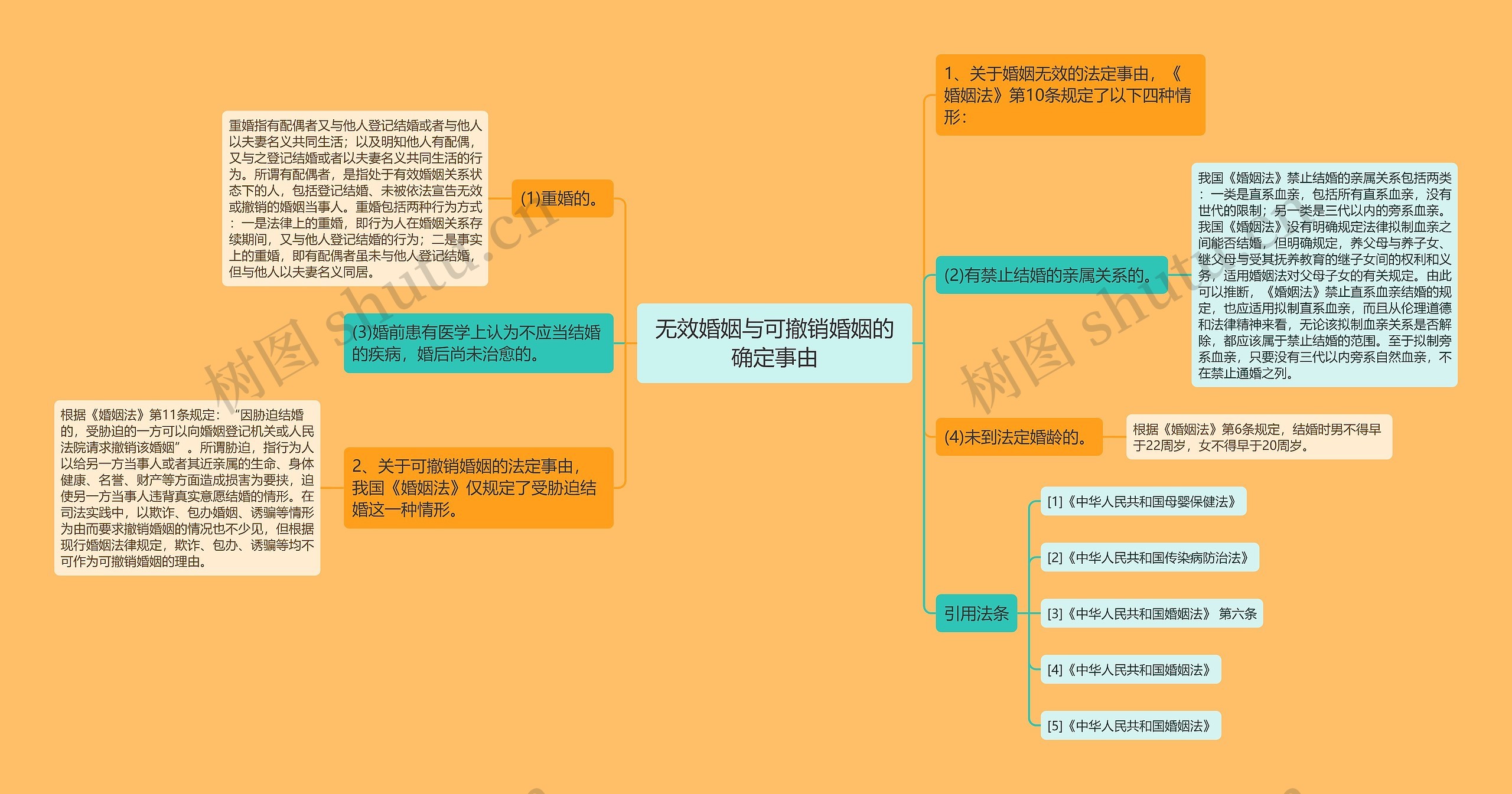 无效婚姻与可撤销婚姻的确定事由思维导图