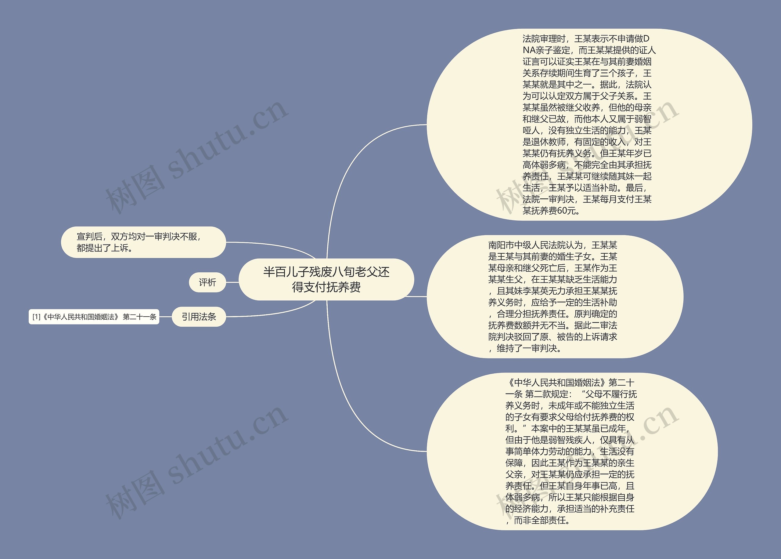 半百儿子残废八旬老父还得支付抚养费思维导图