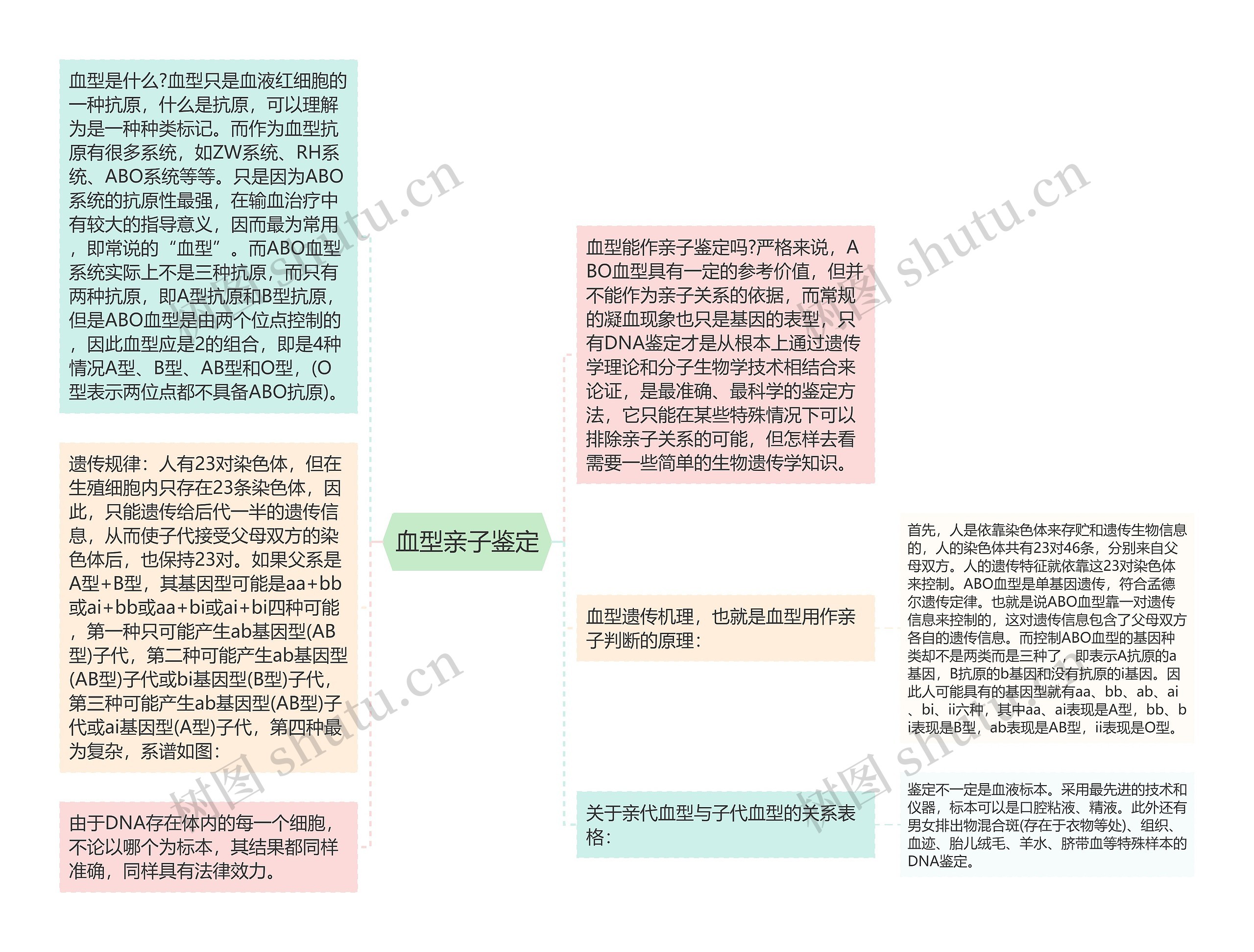 血型亲子鉴定思维导图