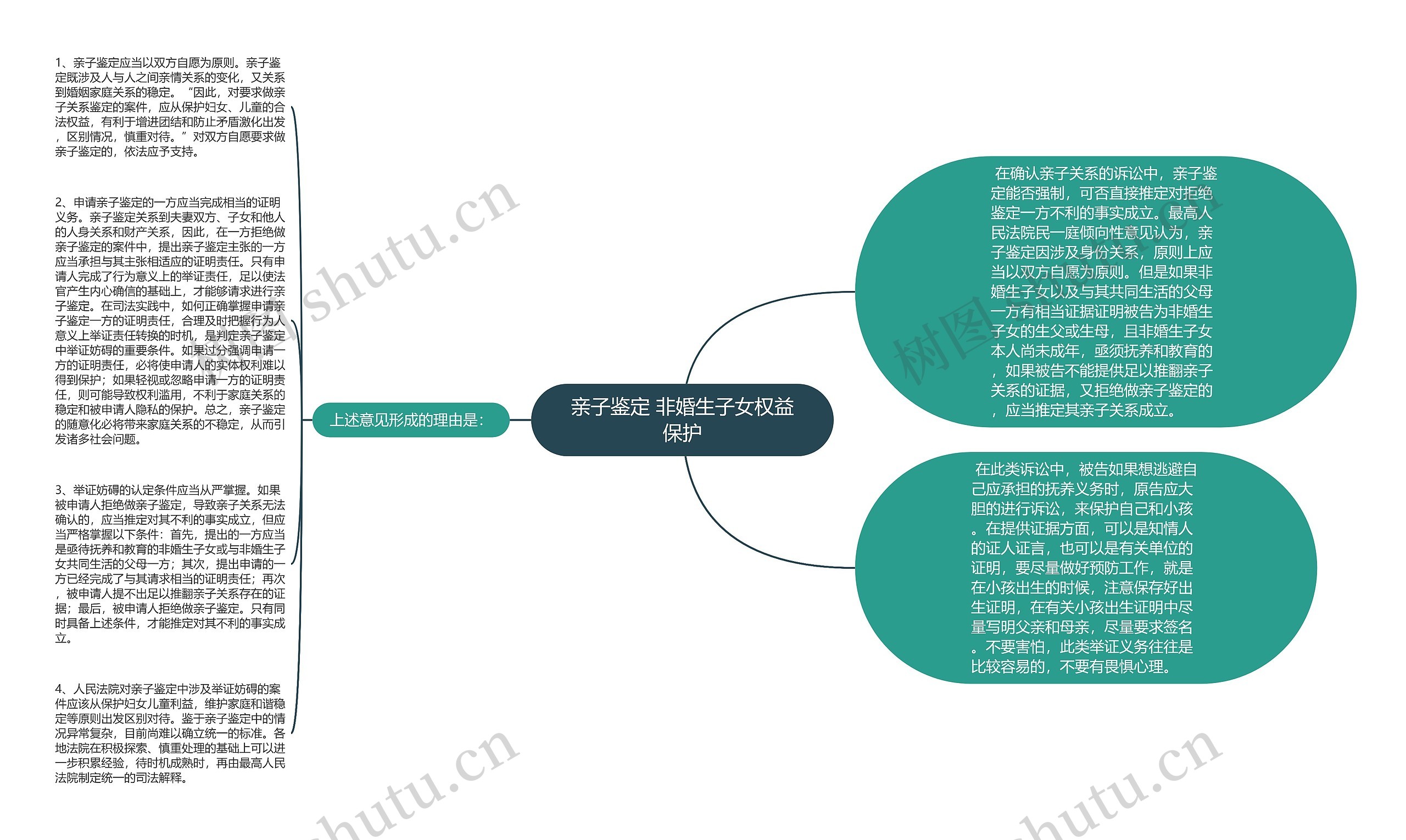 亲子鉴定 非婚生子女权益保护思维导图