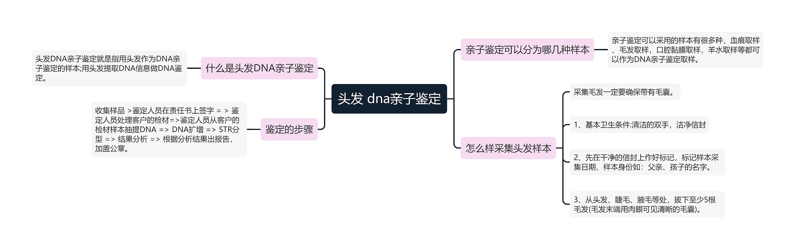 头发 dna亲子鉴定