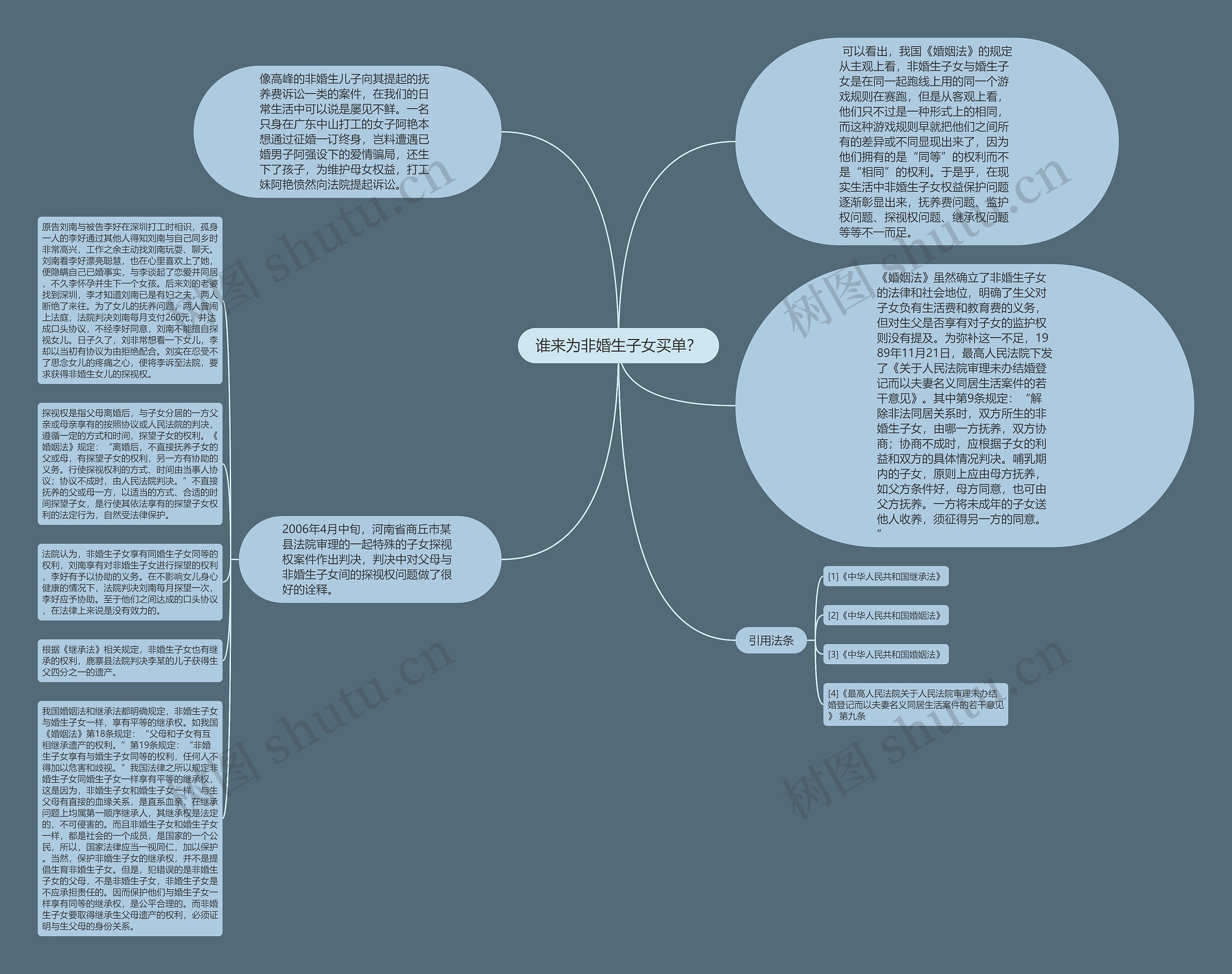 谁来为非婚生子女买单？思维导图