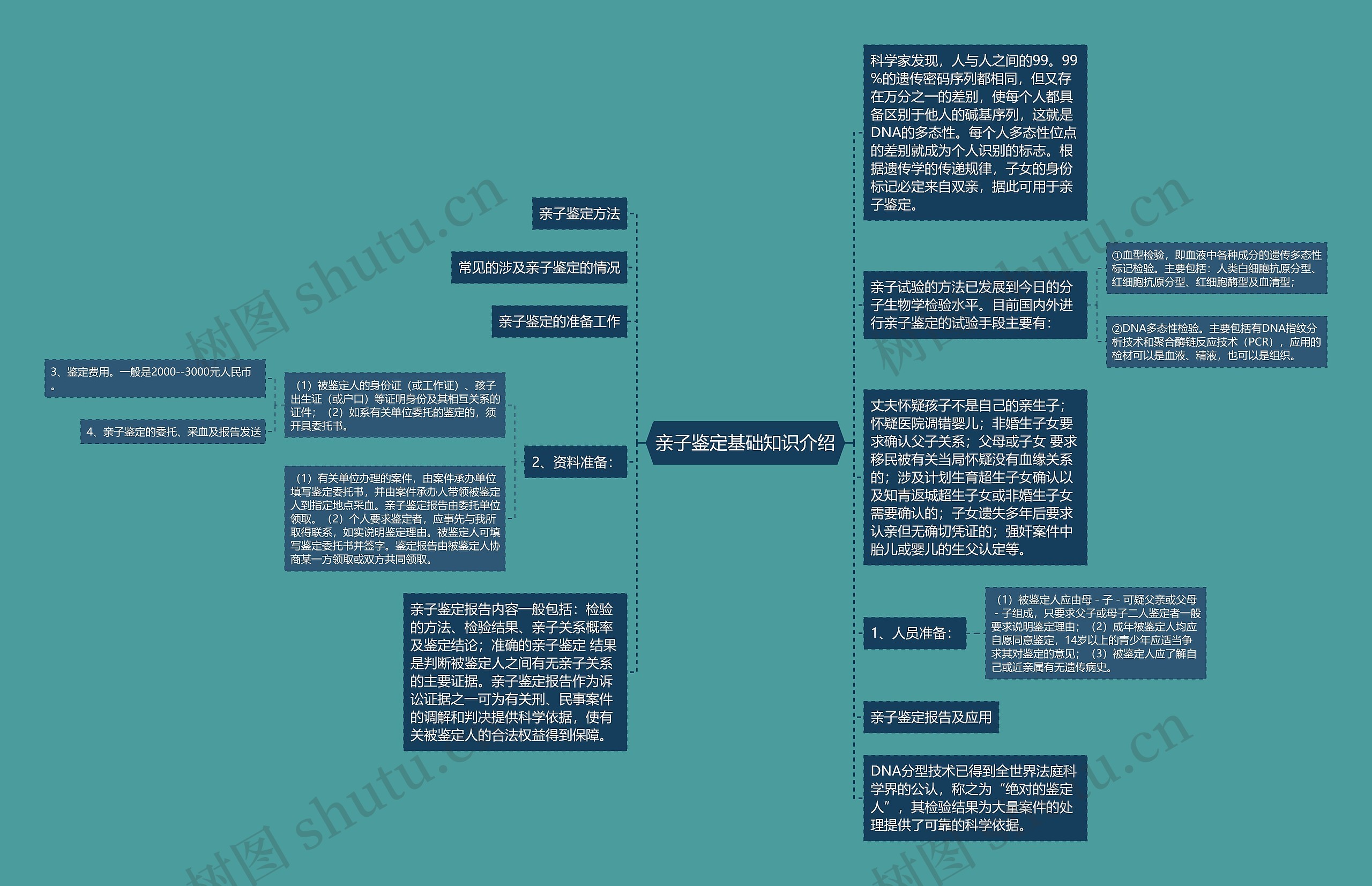 亲子鉴定基础知识介绍思维导图