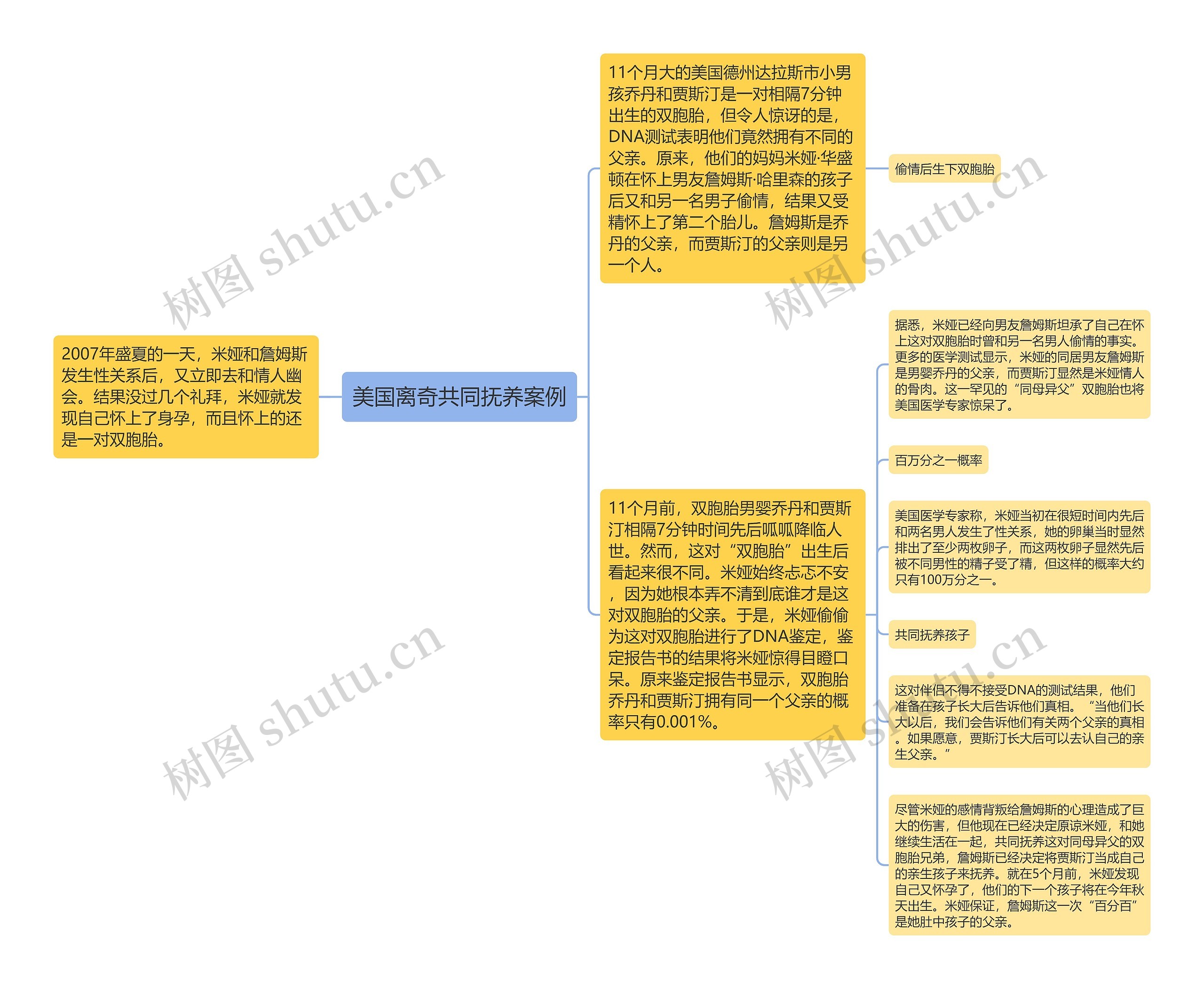 美国离奇共同抚养案例思维导图