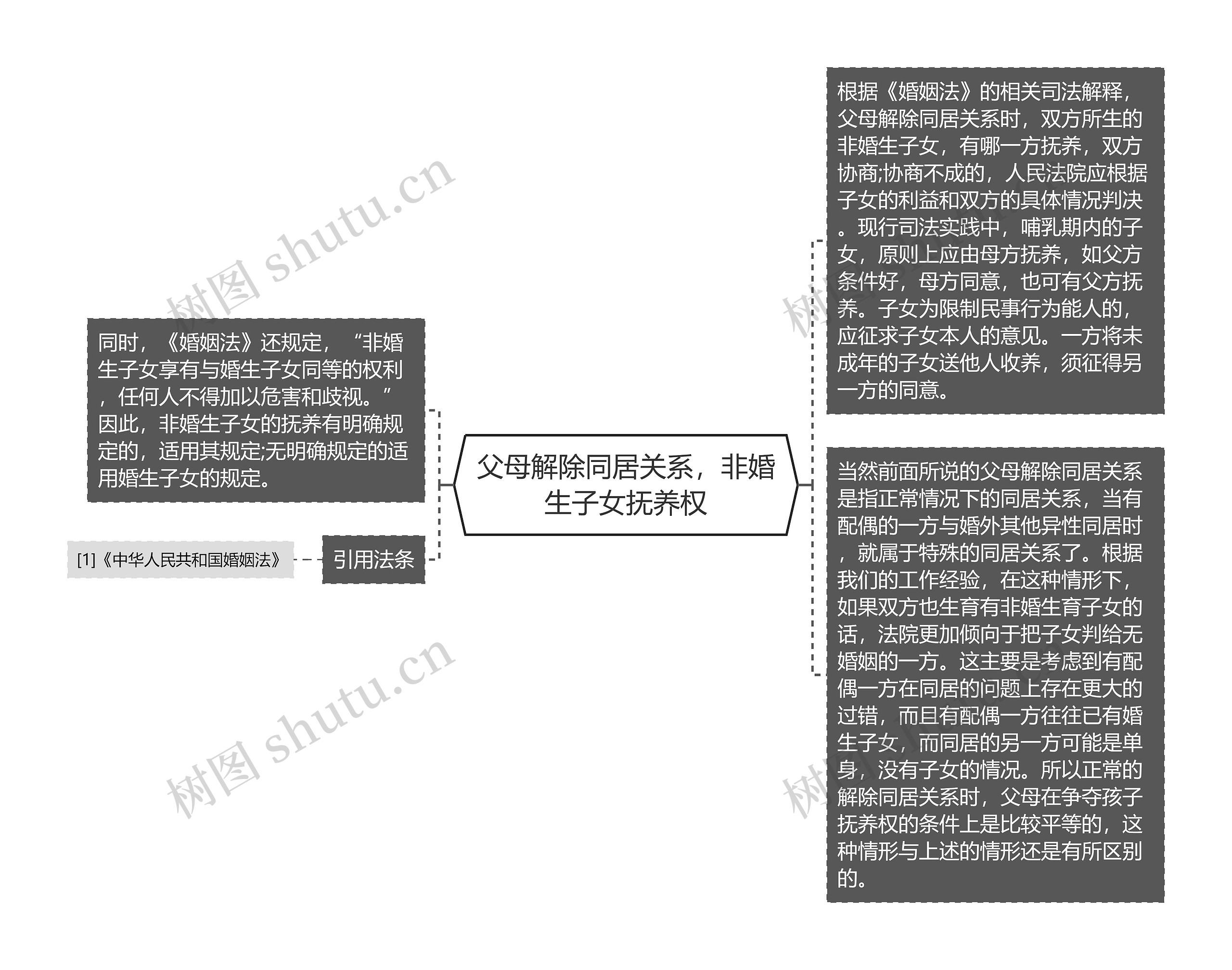 父母解除同居关系，非婚生子女抚养权思维导图