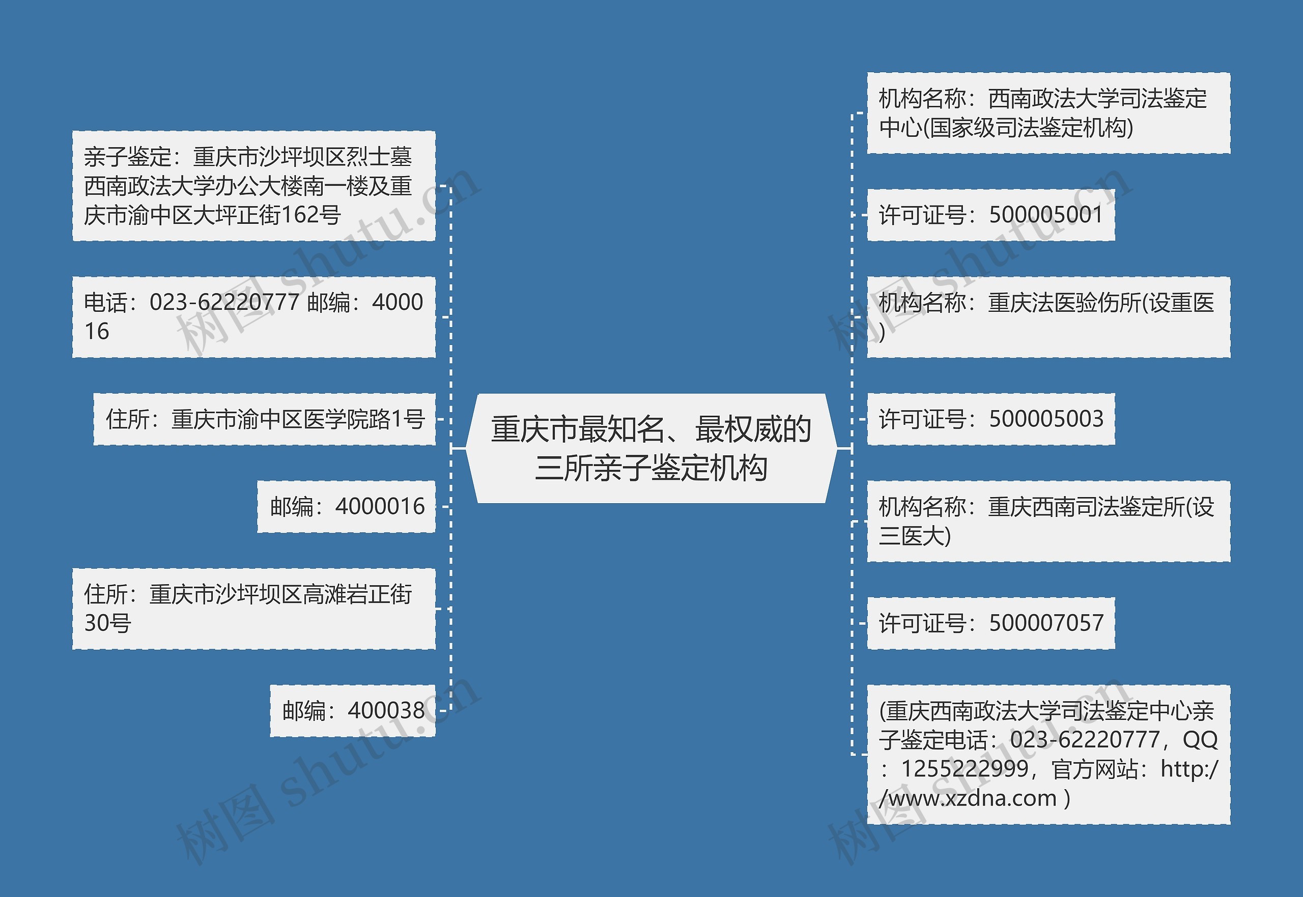 重庆市最知名、最权威的三所亲子鉴定机构思维导图