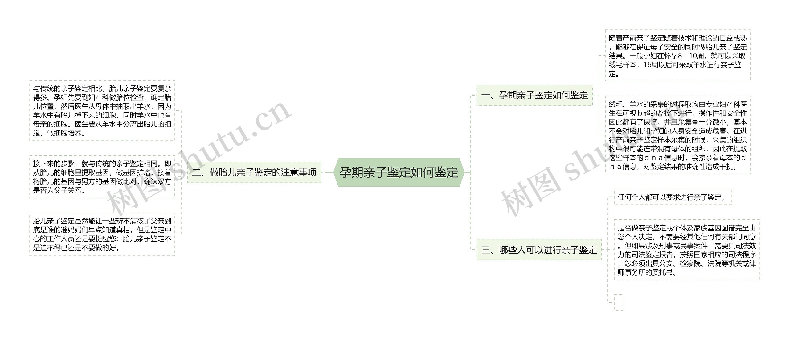 孕期亲子鉴定如何鉴定思维导图