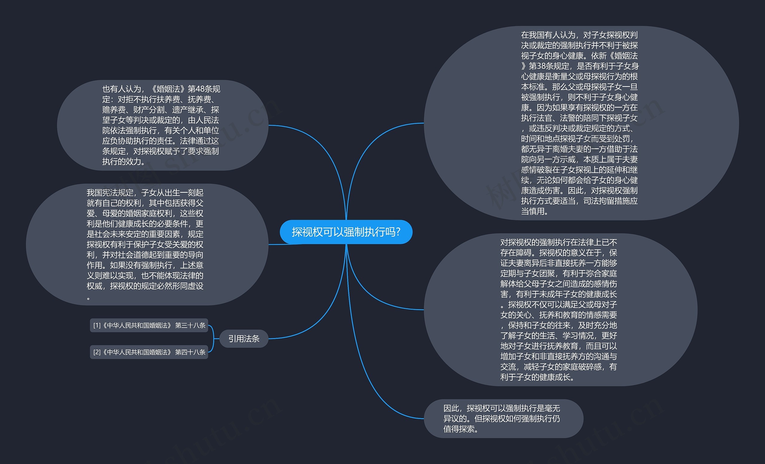 探视权可以强制执行吗?思维导图