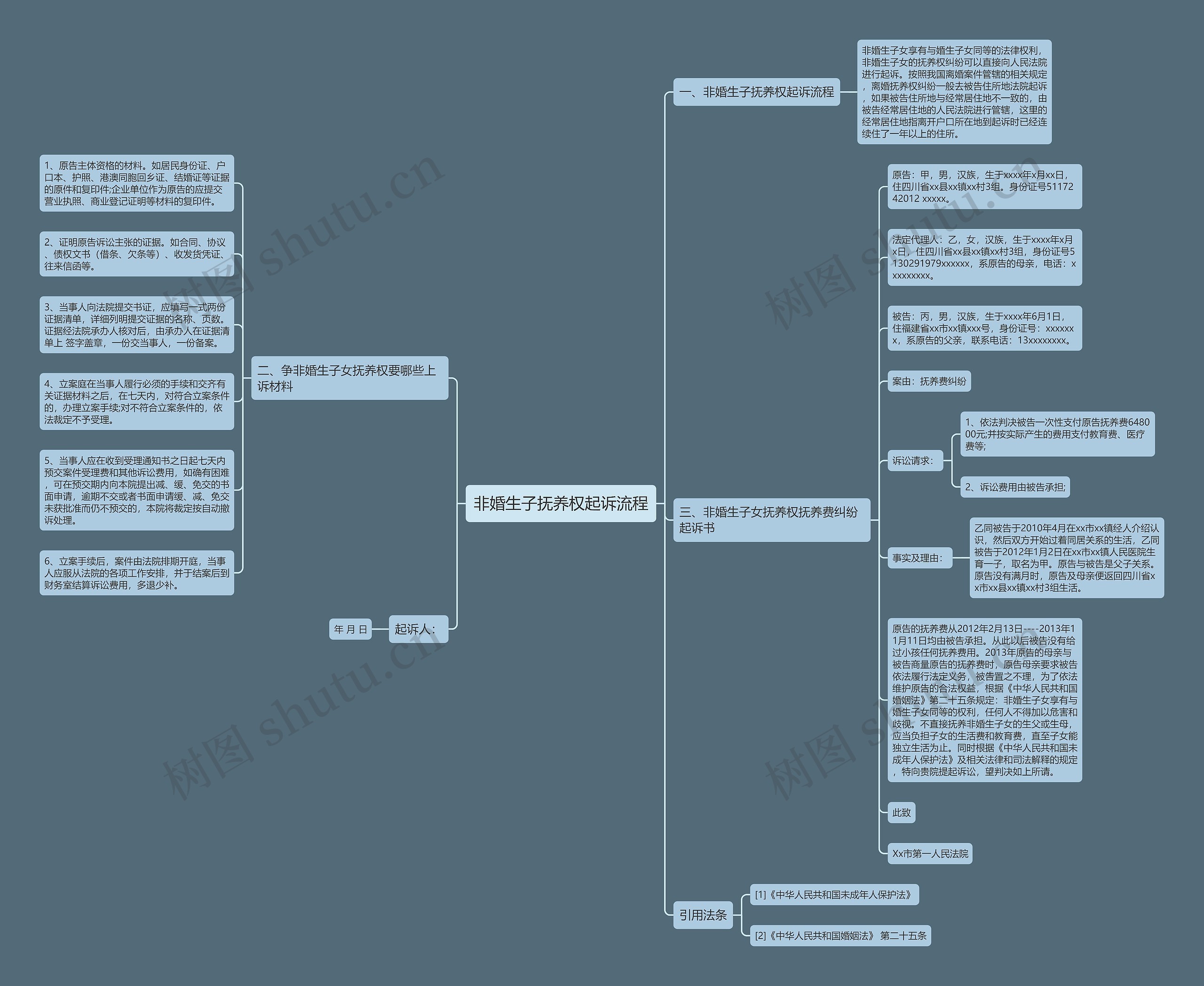 非婚生子抚养权起诉流程思维导图