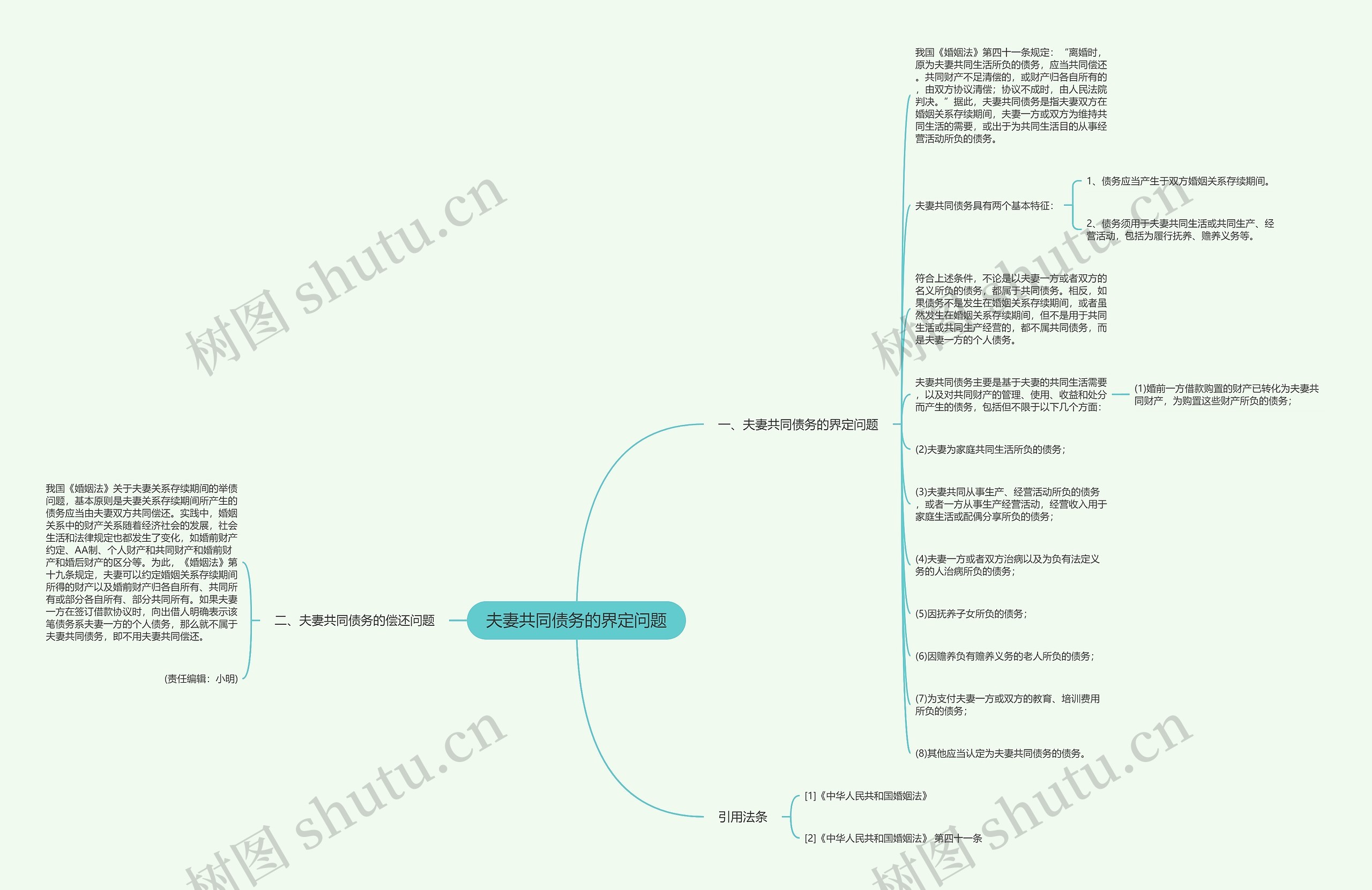 夫妻共同债务的界定问题思维导图