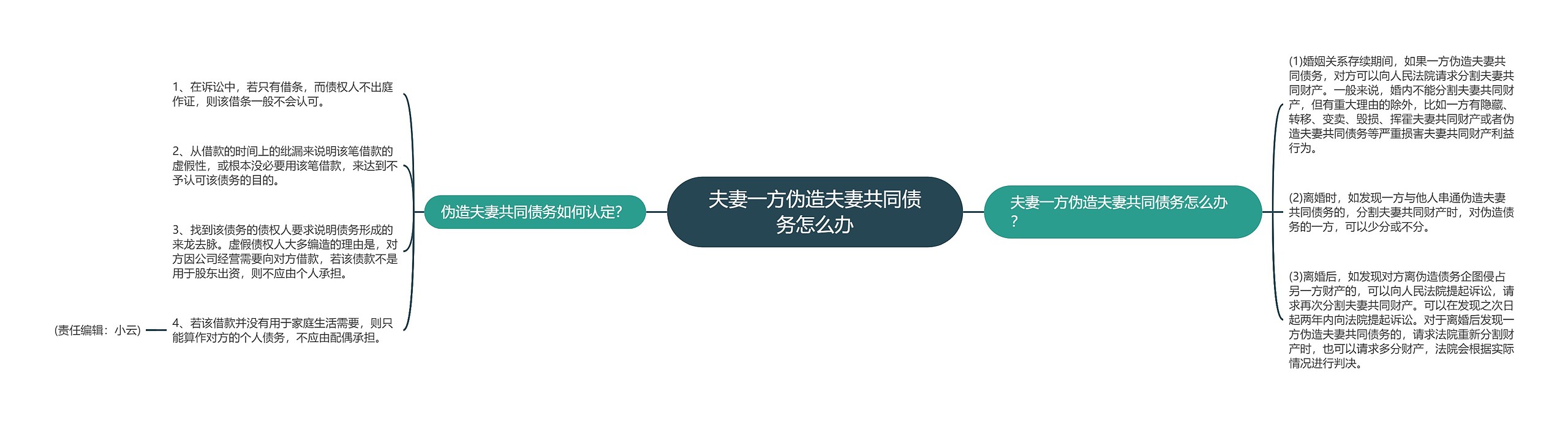 夫妻一方伪造夫妻共同债务怎么办思维导图