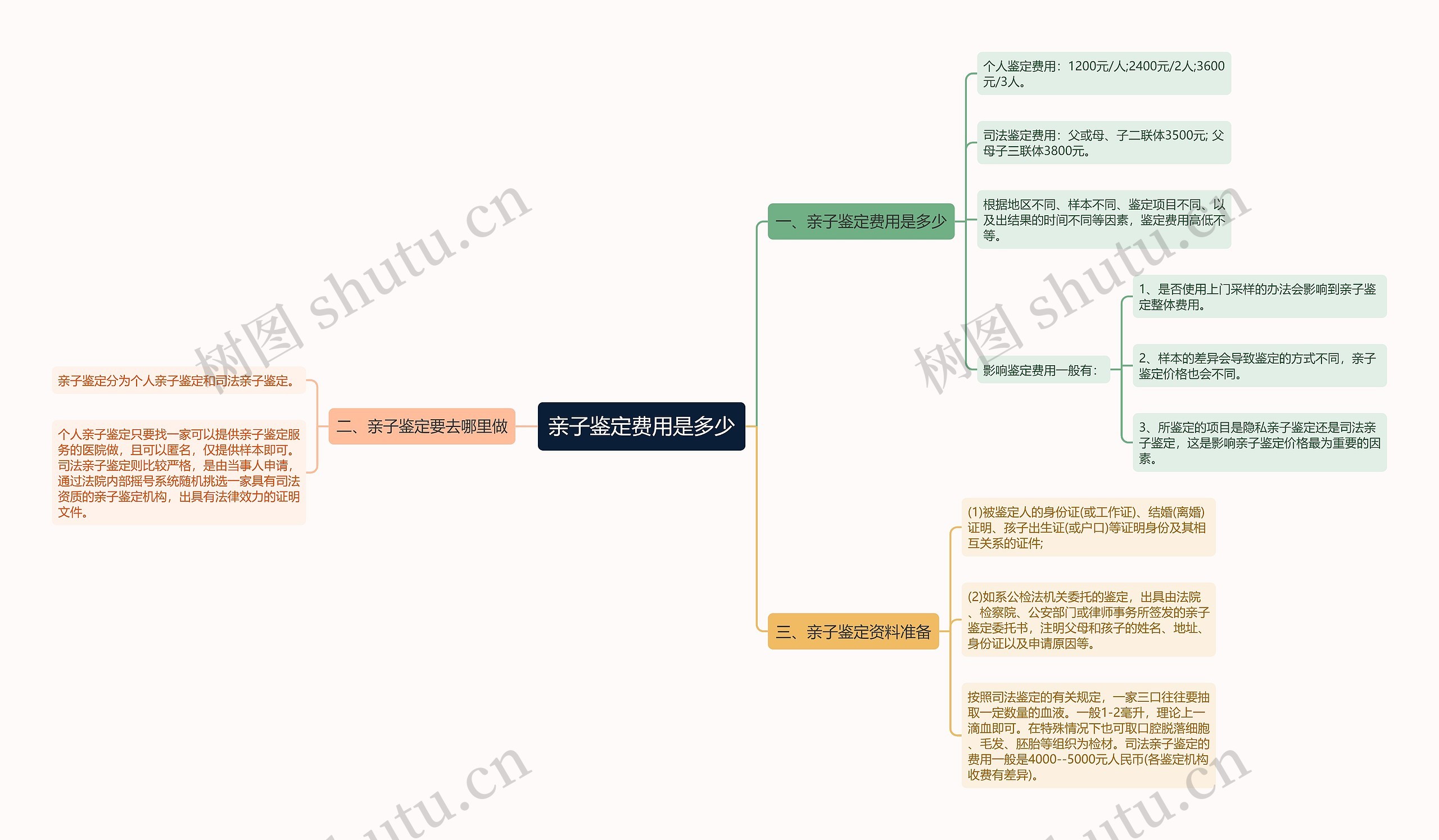 亲子鉴定费用是多少思维导图