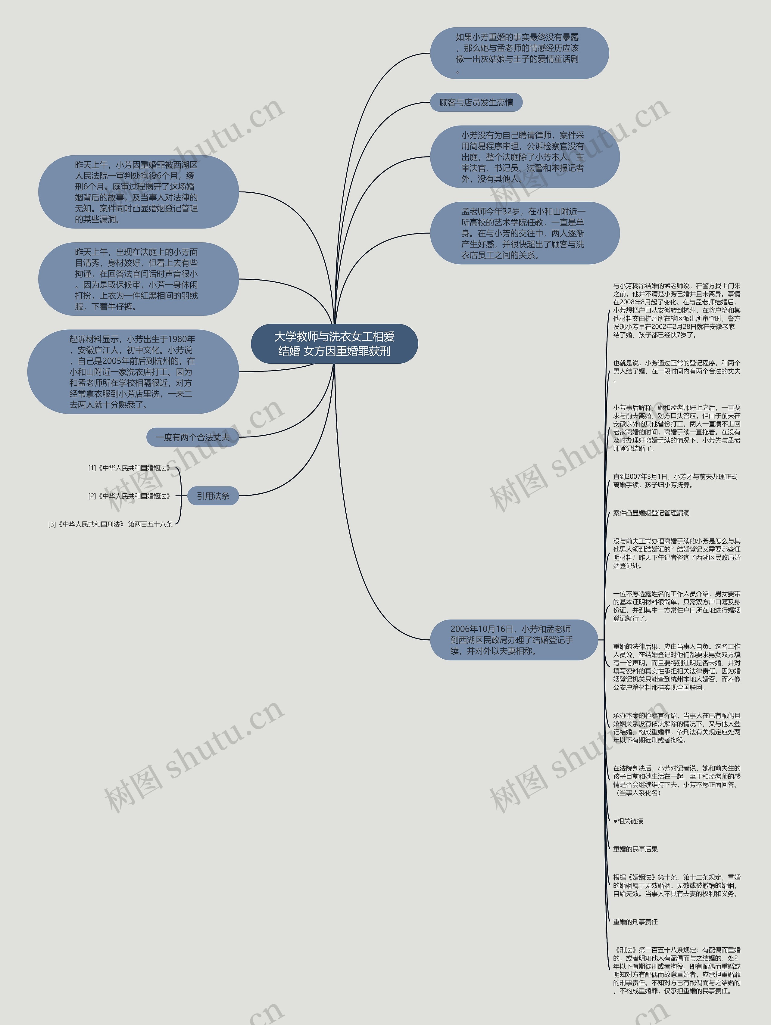 大学教师与洗衣女工相爱结婚 女方因重婚罪获刑思维导图