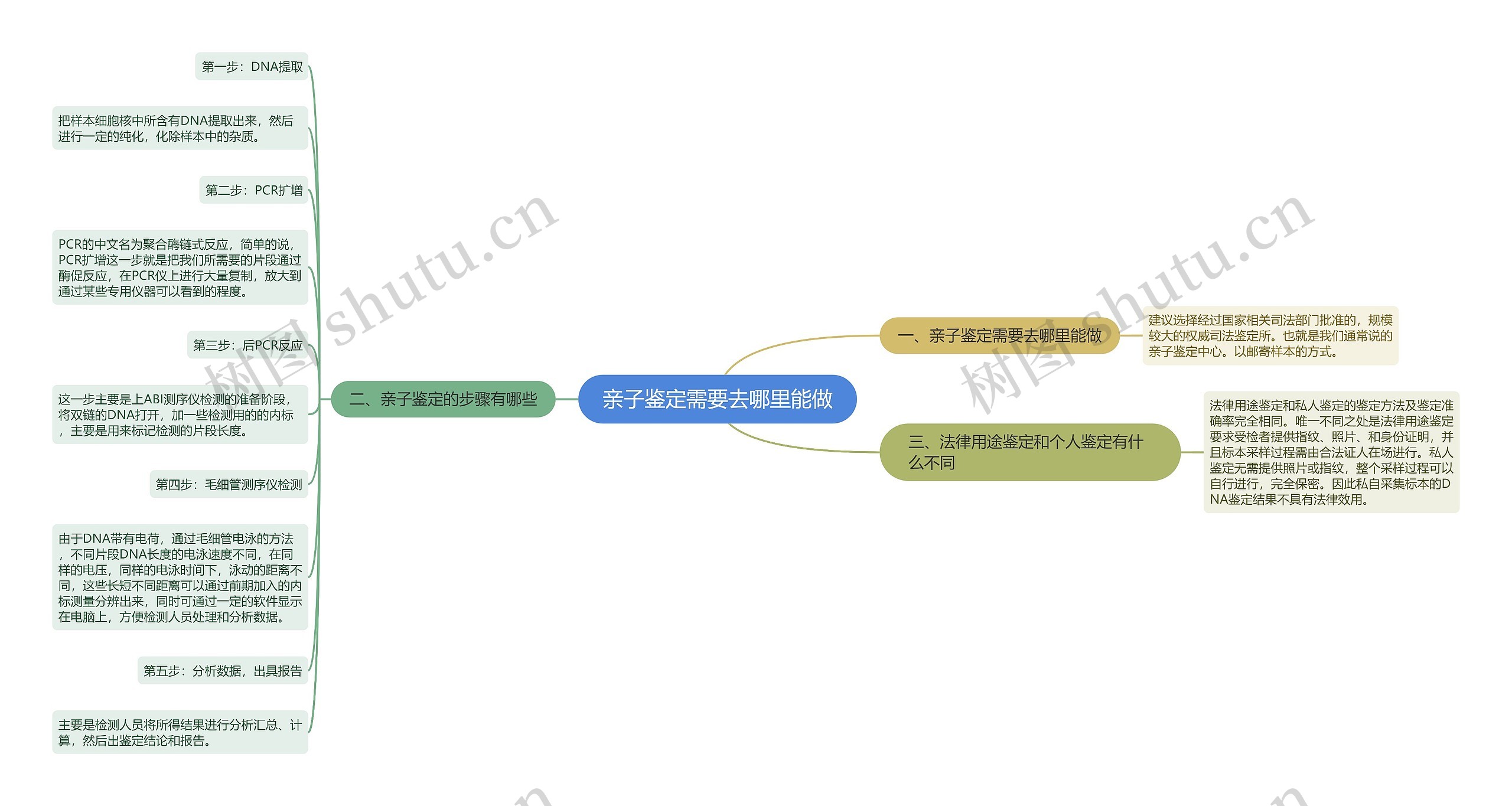 亲子鉴定需要去哪里能做思维导图