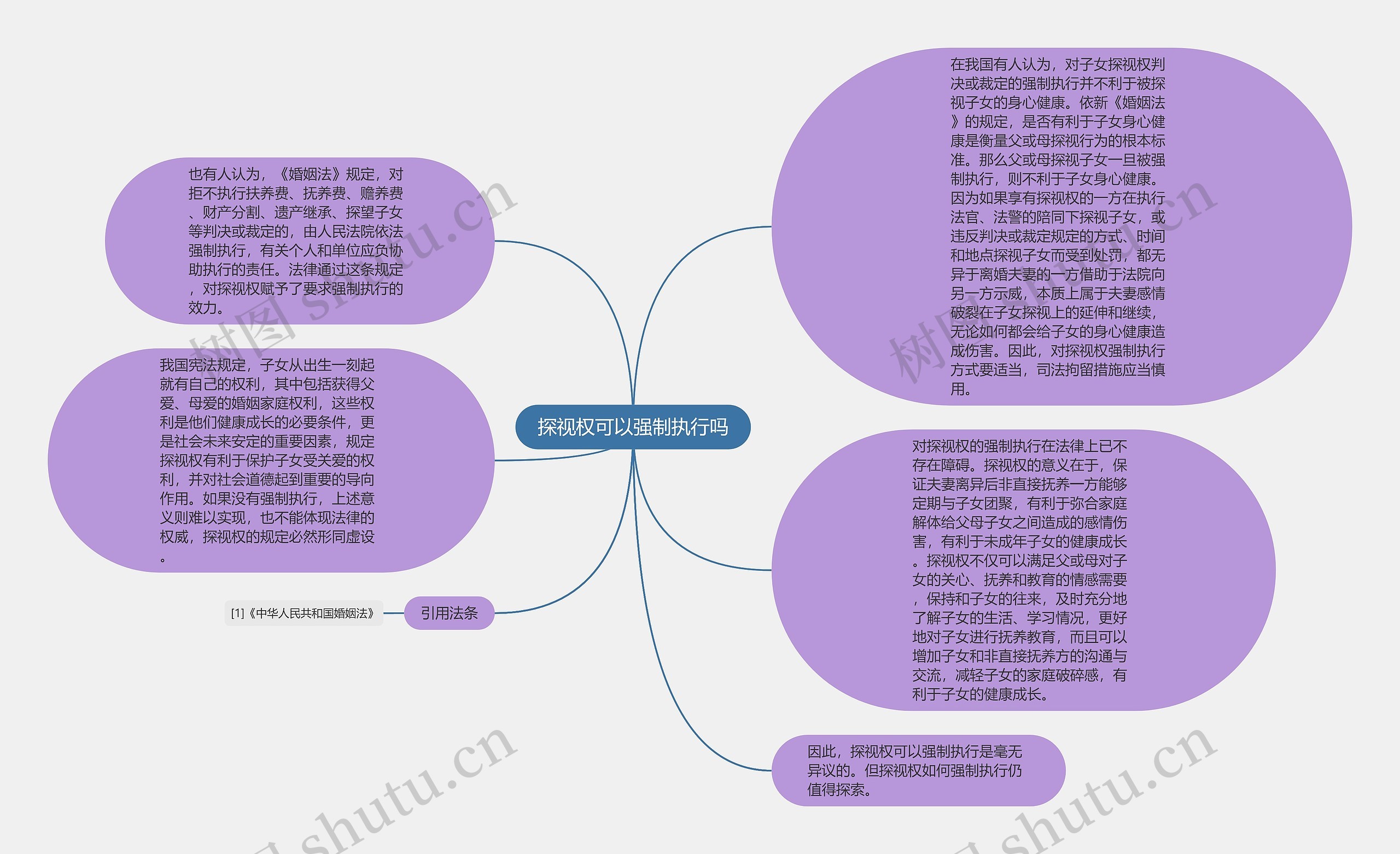 探视权可以强制执行吗思维导图