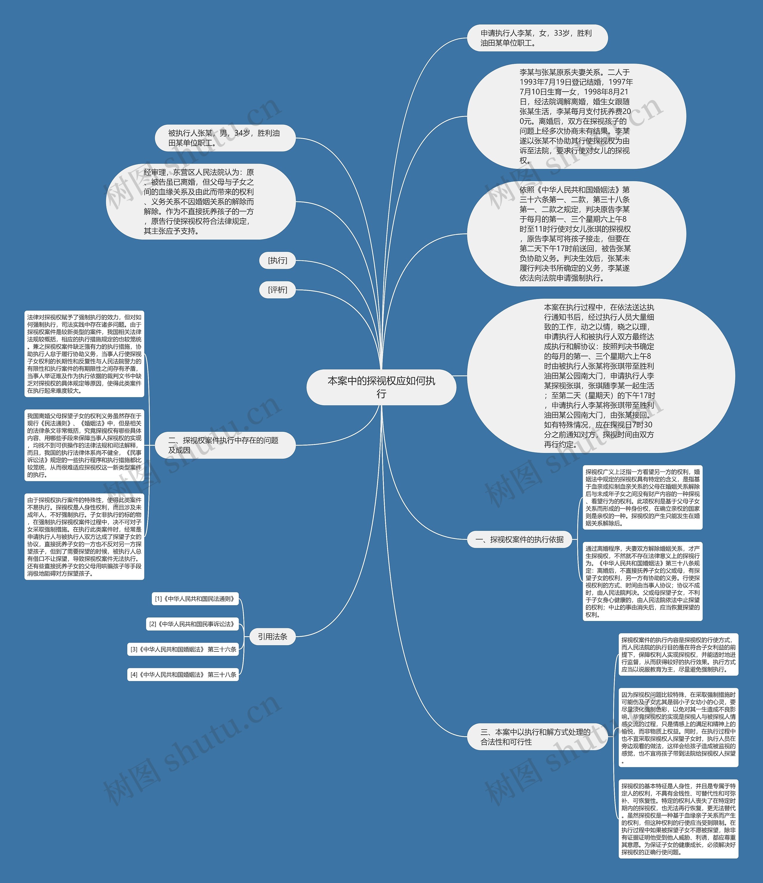 本案中的探视权应如何执行思维导图