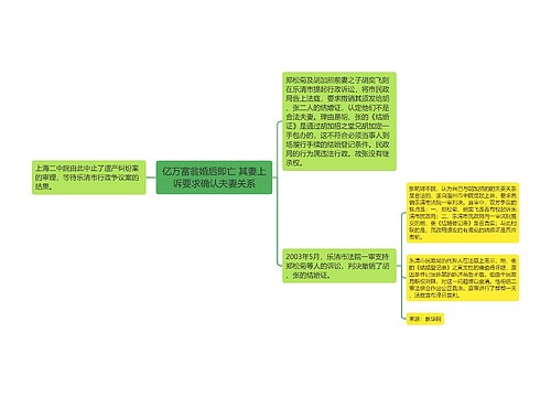 亿万富翁婚后即亡 其妻上诉要求确认夫妻关系