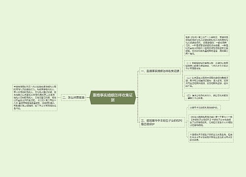 重婚事实婚姻怎样收集证据