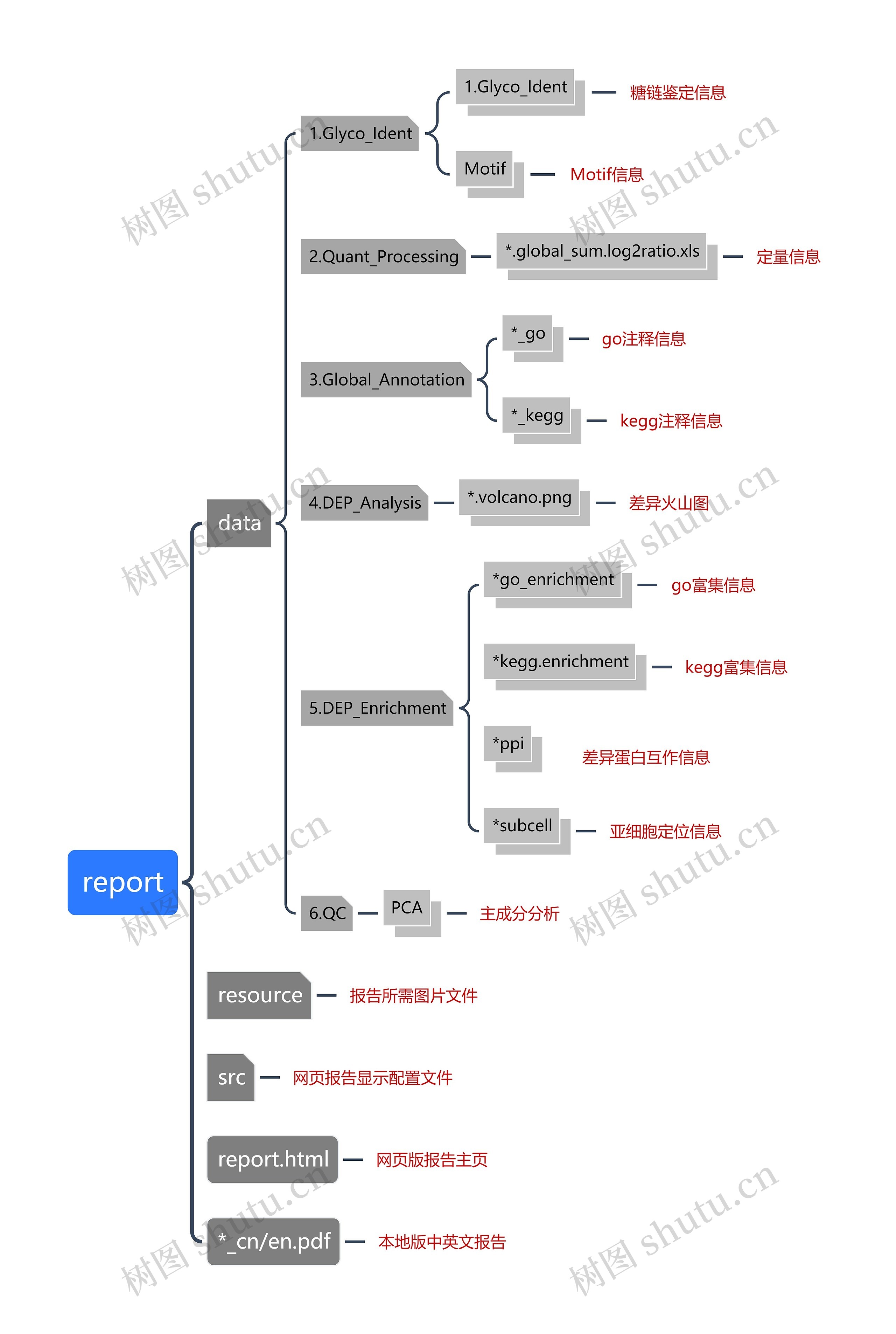 report思维导图