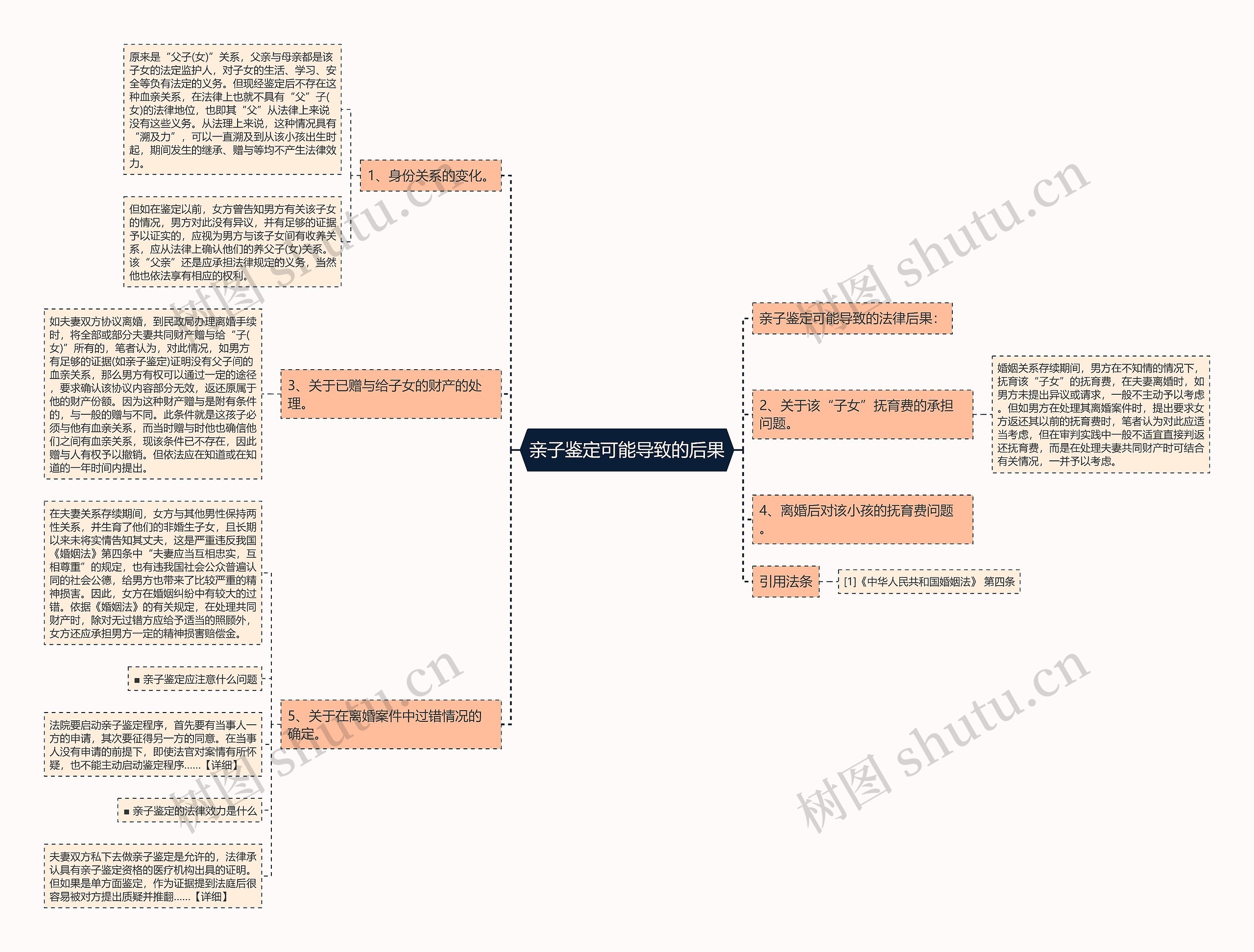 亲子鉴定可能导致的后果思维导图