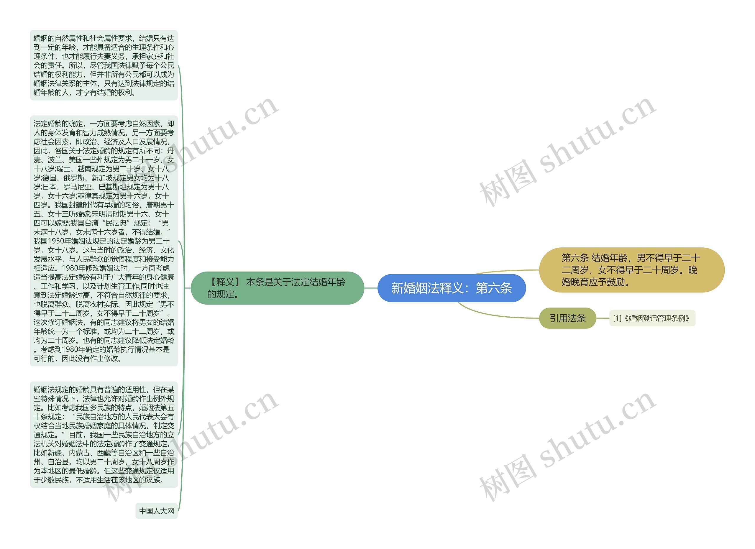 新婚姻法释义：第六条思维导图